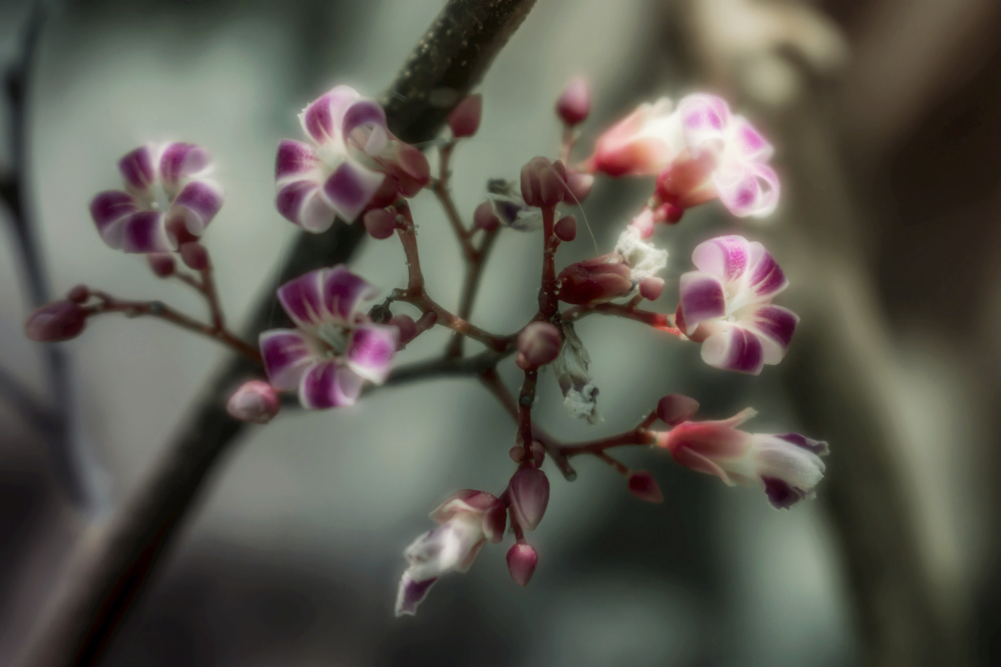 Canon EOS 60D sample photo. No caption photography