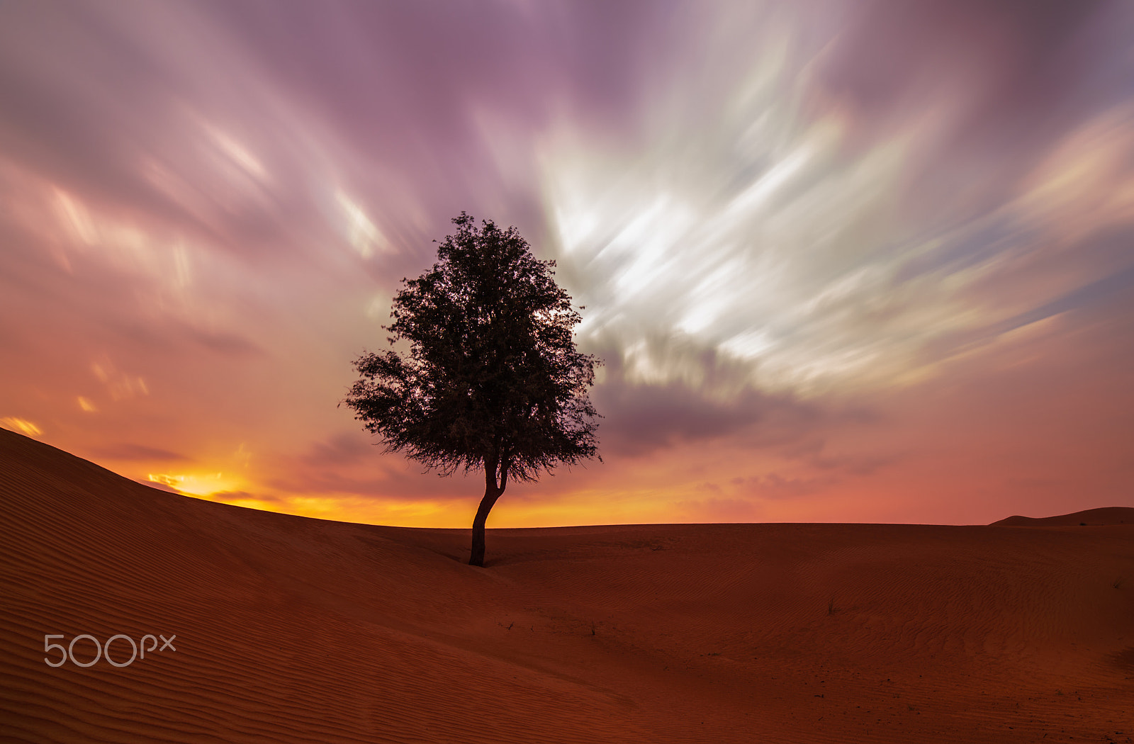 Nikon D610 sample photo. Desert sunset photography