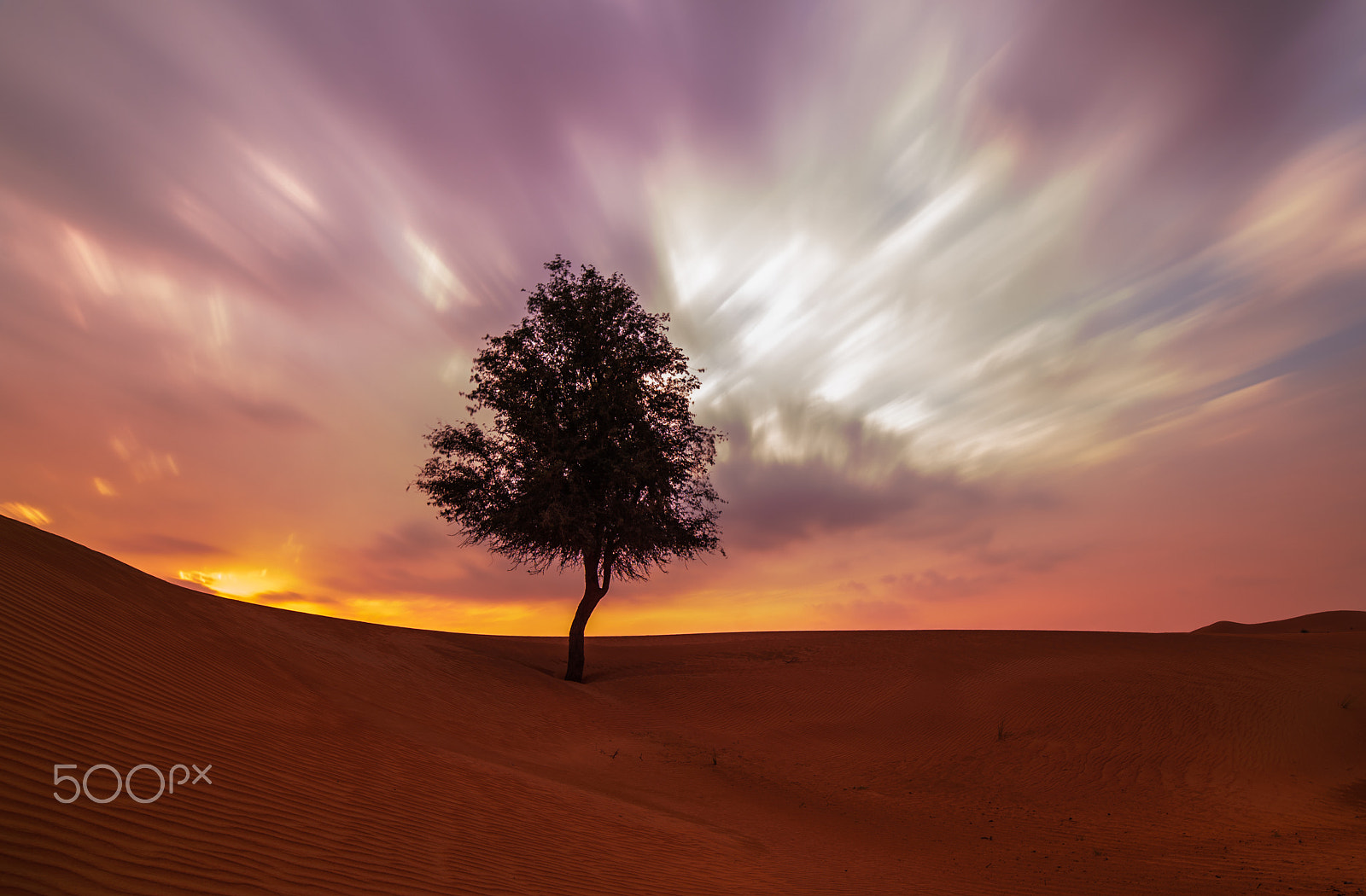 Samyang 14mm F2.8 ED AS IF UMC sample photo. Desert sunset photography