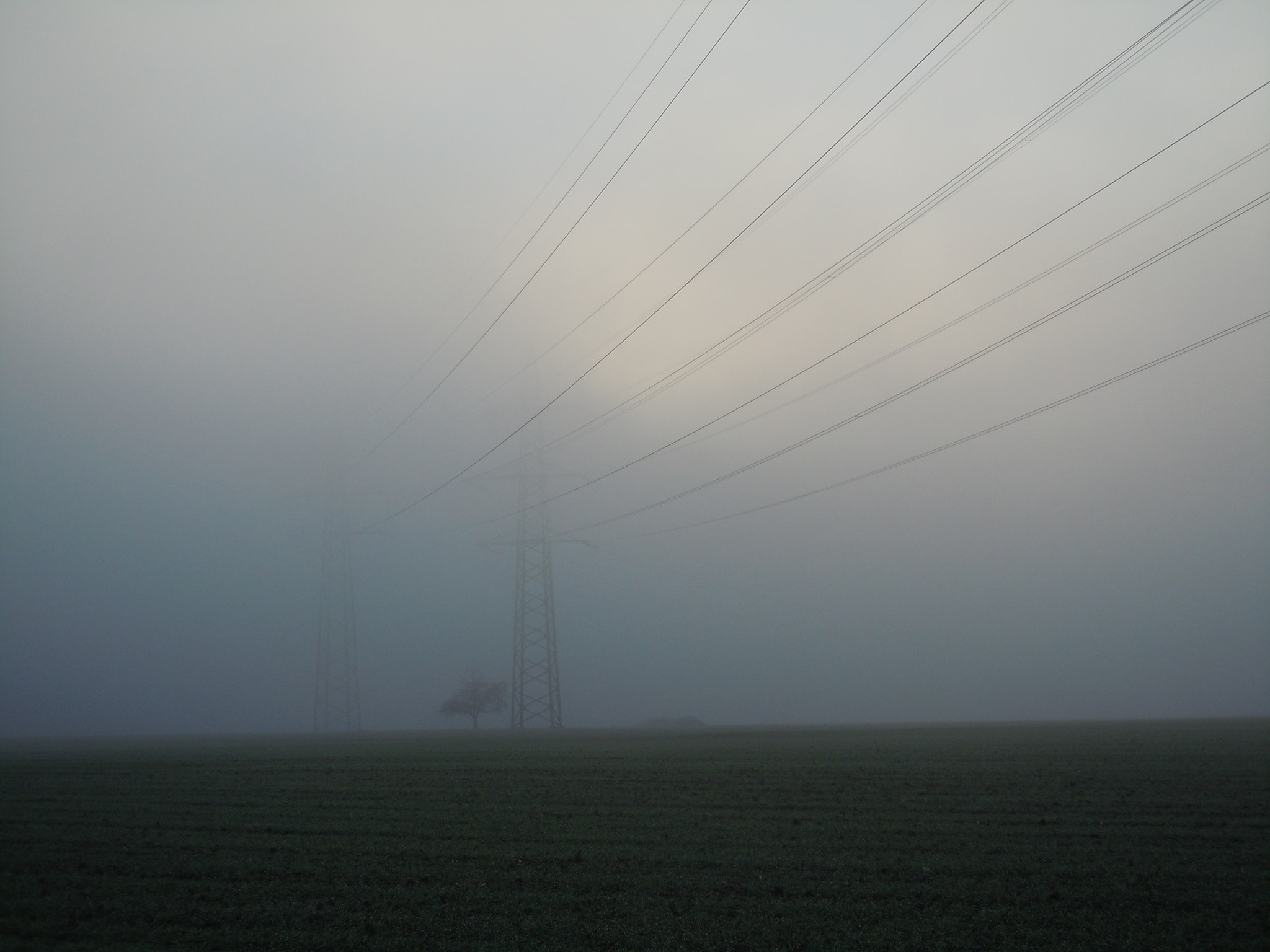 Nikon Coolpix S8000 sample photo. Electrical wires lost in the fog photography