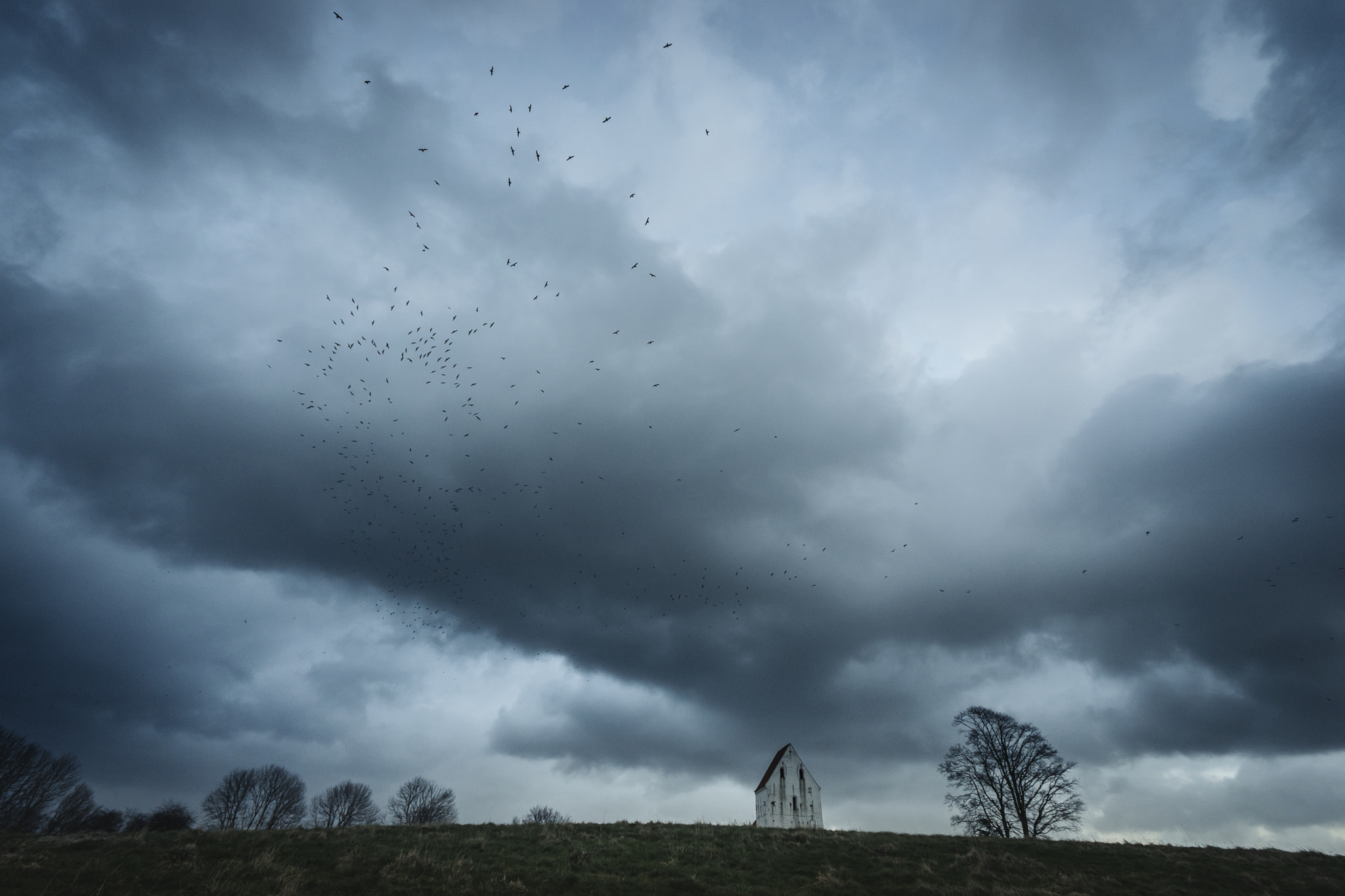 Sony a7 + Sony Vario-Tessar T* FE 16-35mm F4 ZA OSS sample photo. For the birds photography