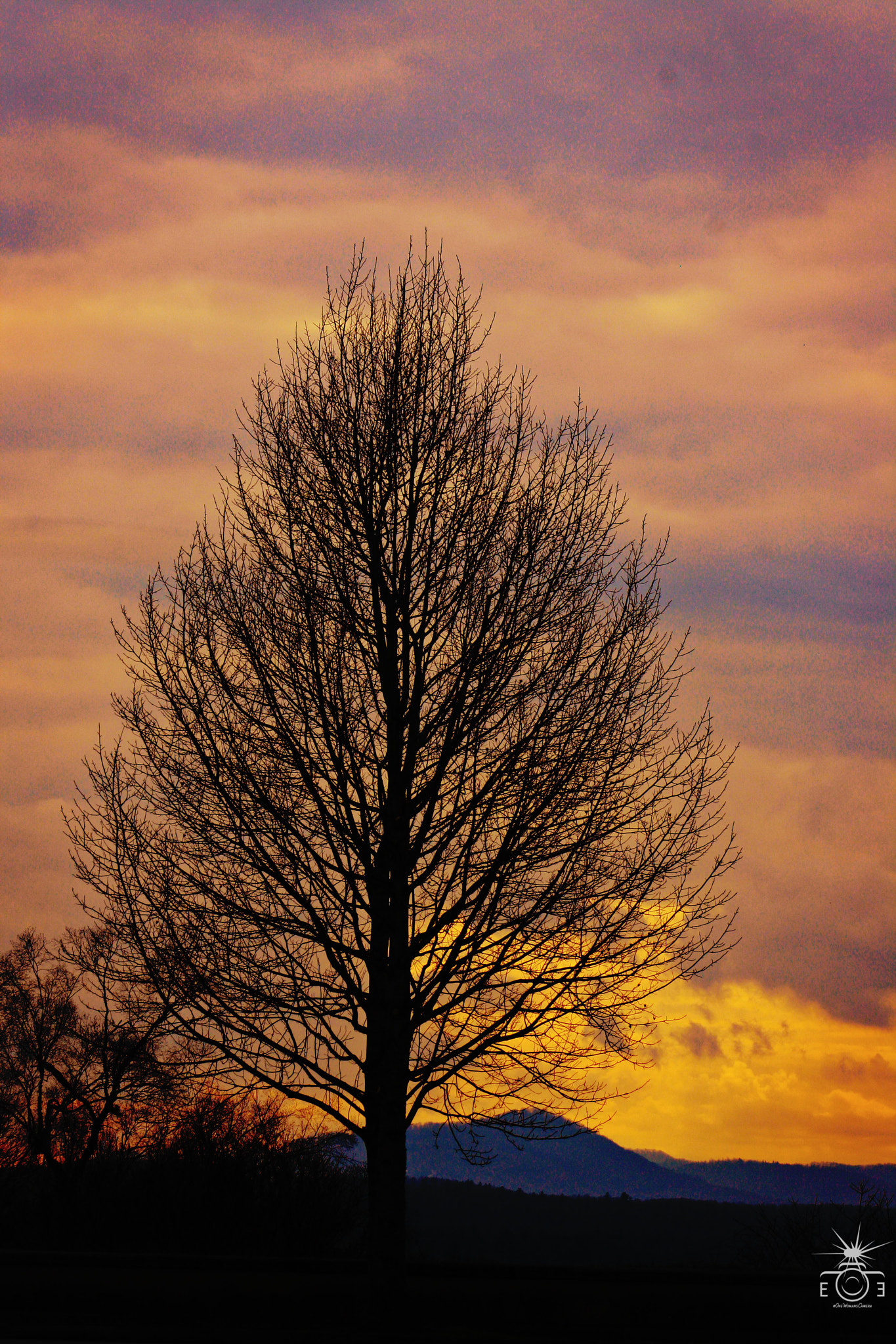 EF75-300mm f/4-5.6 sample photo. Biltmore sunset photography