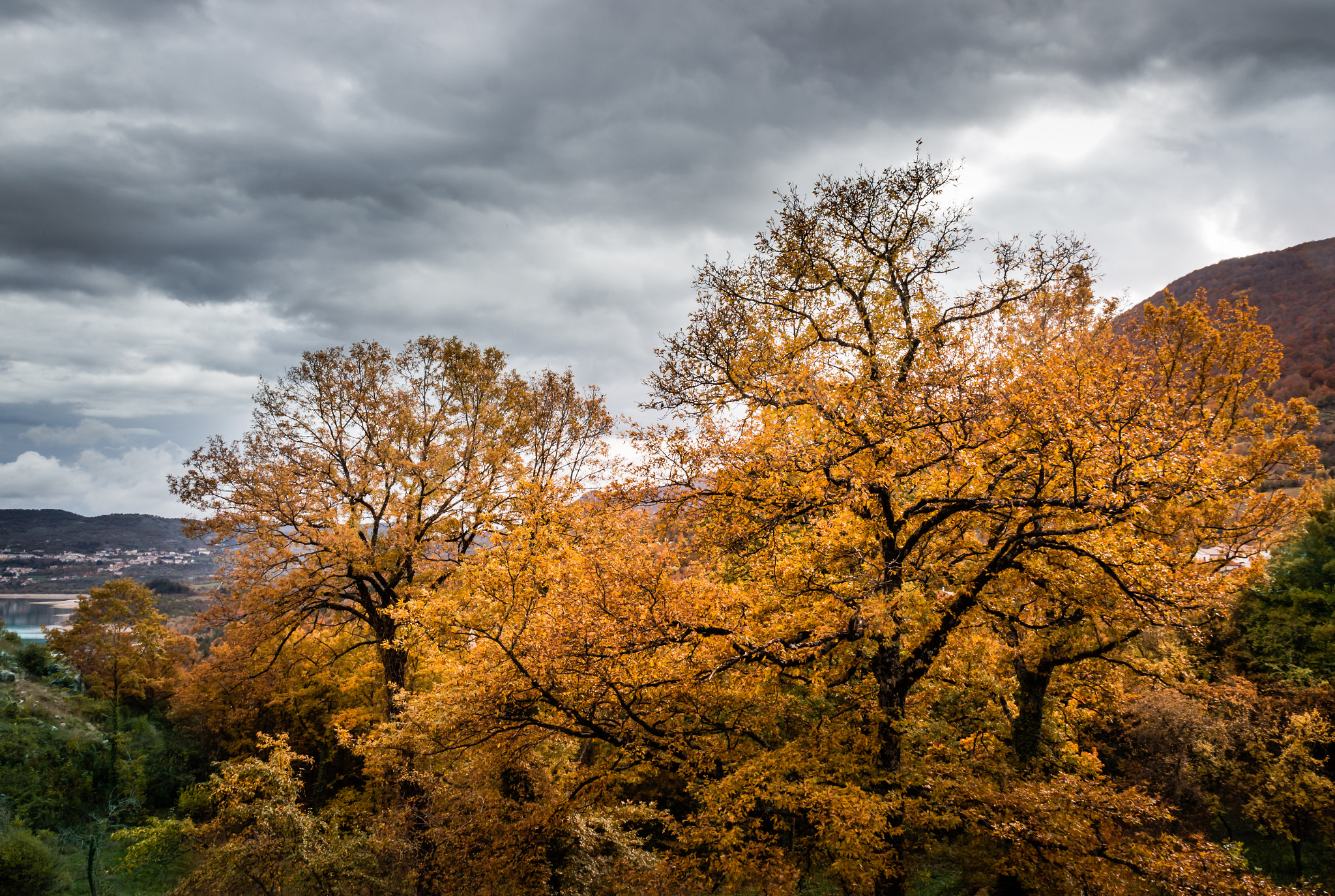Sigma 17-70mm F2.8-4 DC Macro OS HSM sample photo. Autumn photography