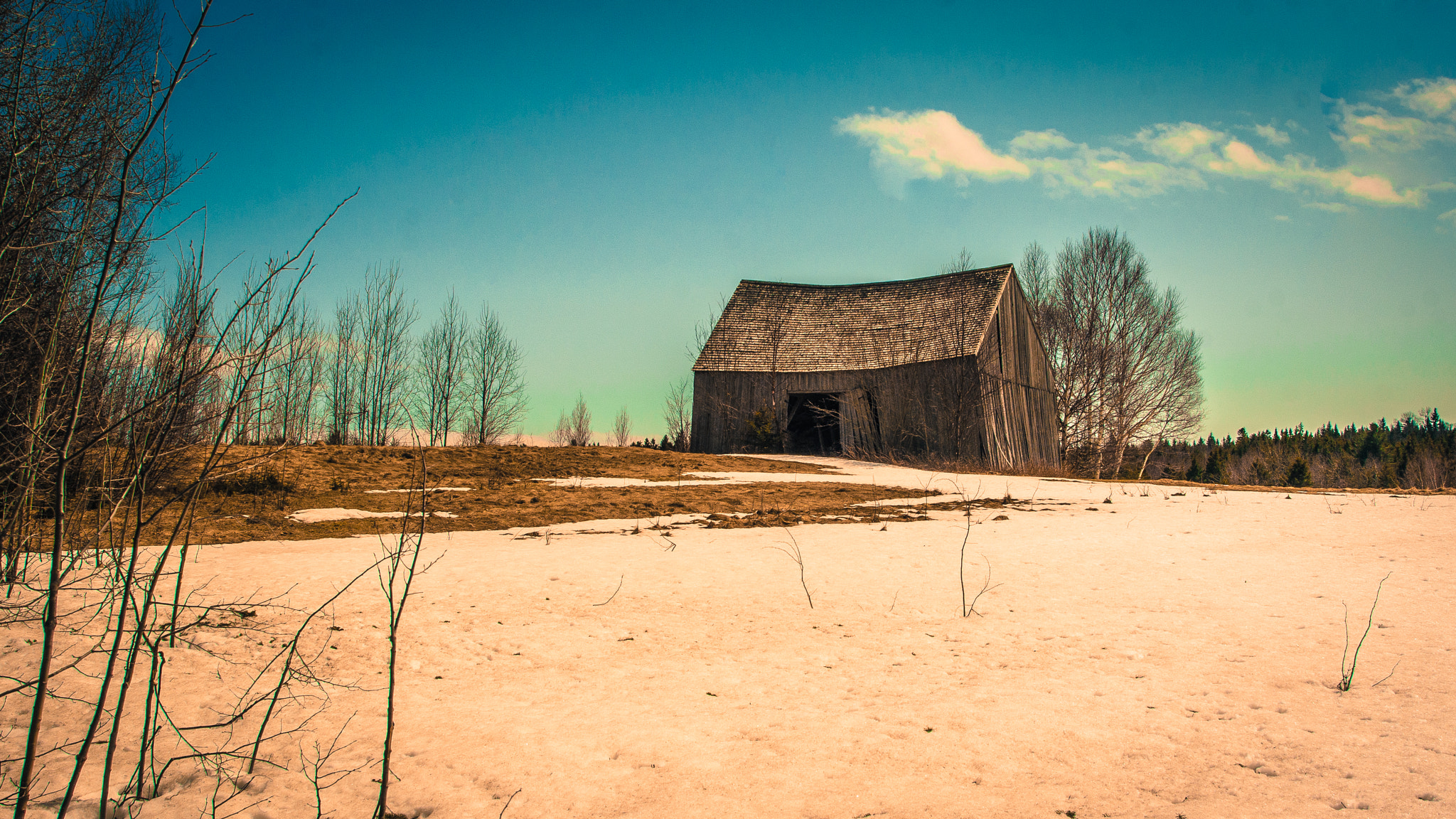 Minolta/Sony AF 24-105mm F3.5-4.5 (D) sample photo. Spring thaw photography