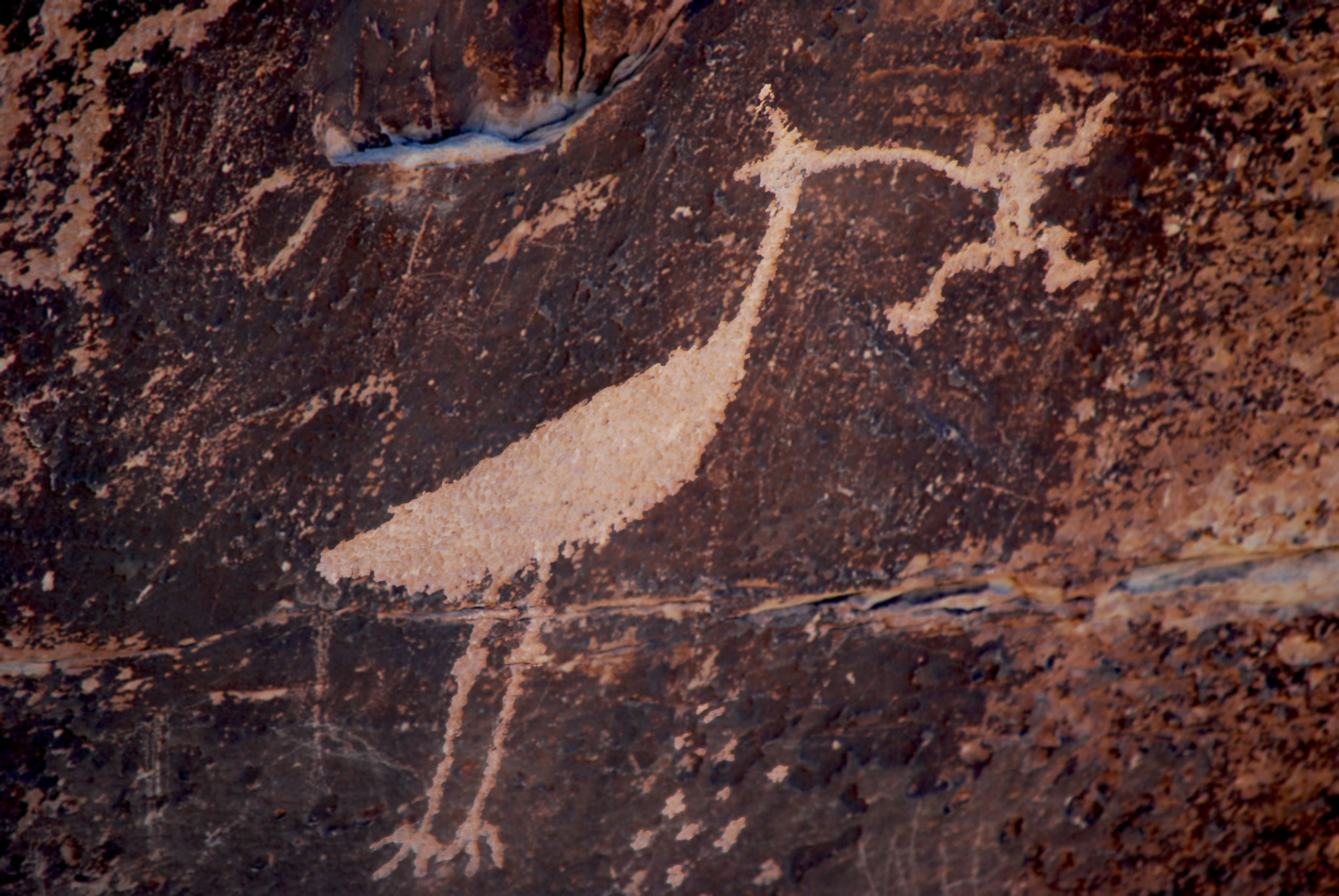 Nikon D60 sample photo. Petroglyph photography