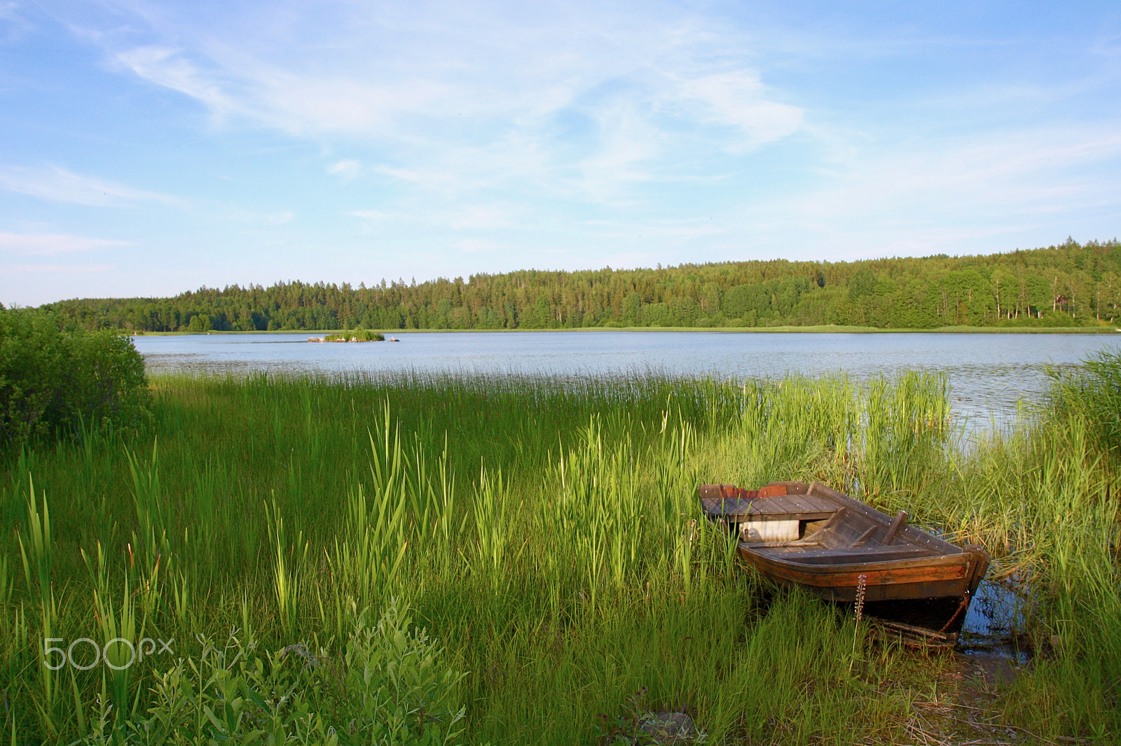 Canon EOS 1000D (EOS Digital Rebel XS / EOS Kiss F) sample photo. Magical midsummer photography