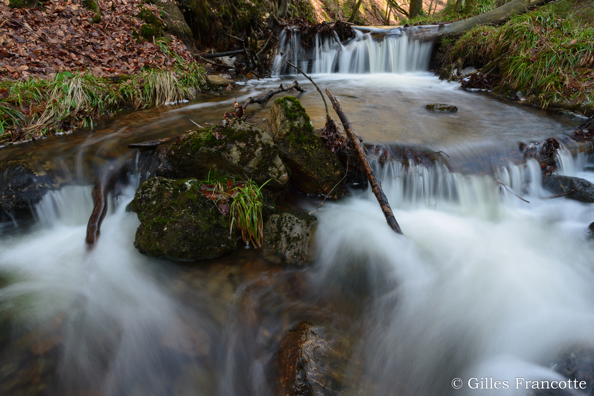 Nikon D800 + Nikon AF-S Nikkor 20mm F1.8G ED sample photo. Chefna river photography