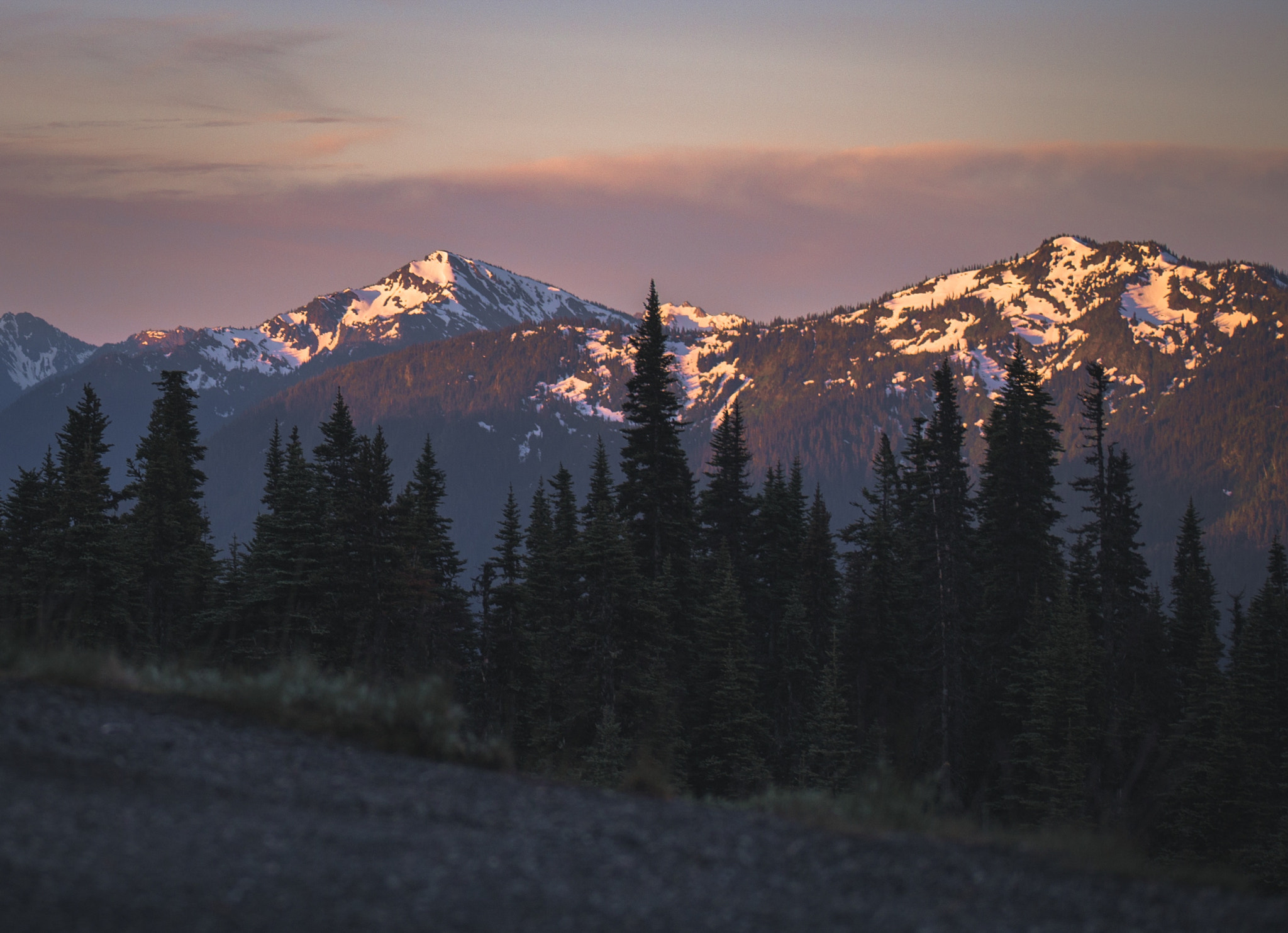 Canon EOS 6D + EF75-300mm f/4-5.6 sample photo. Early summer morning at hurricane ridge. photography