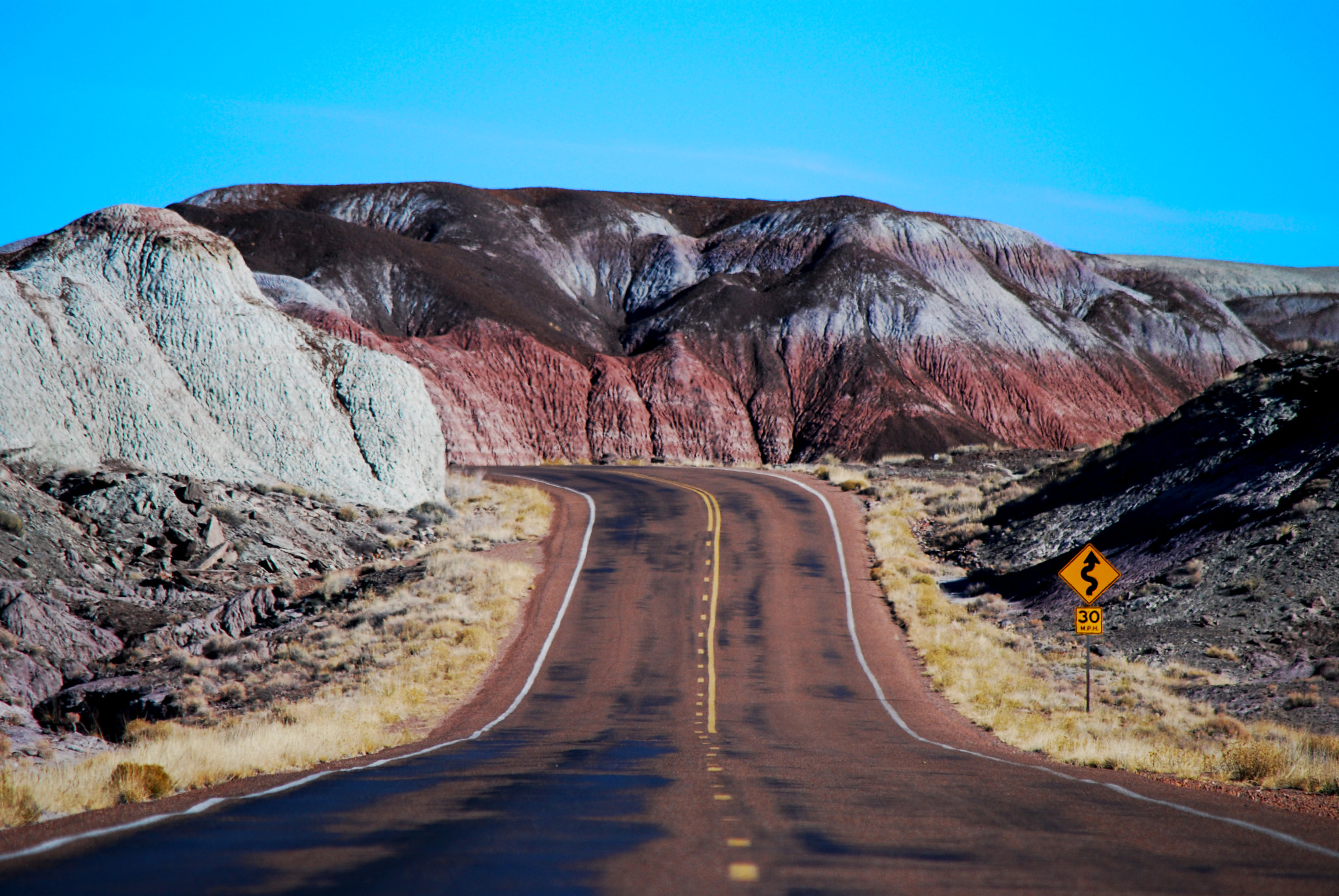 Nikon D60 sample photo. Petrified forest road photography
