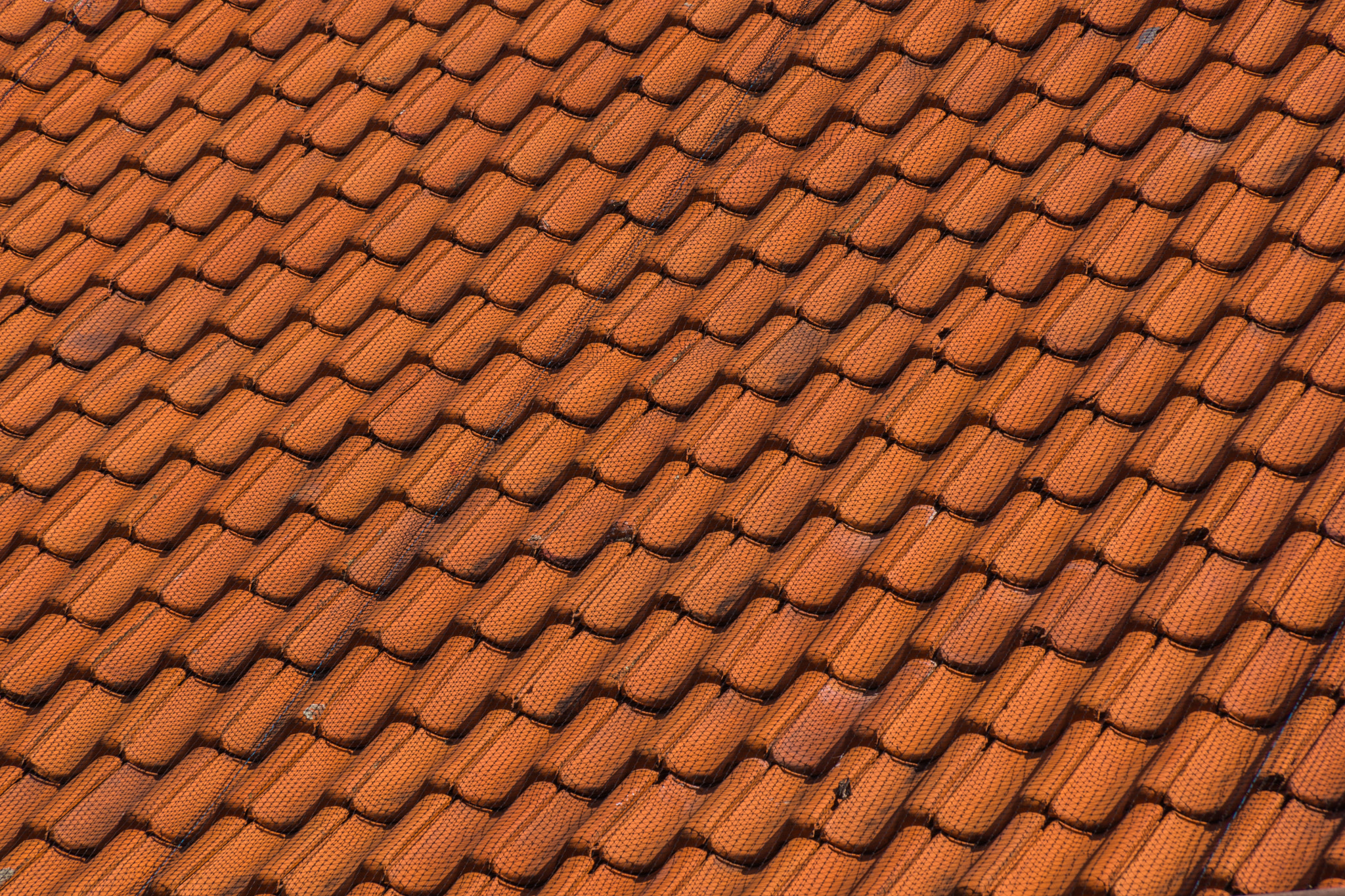 Sony SLT-A77 sample photo. Roof tile photography