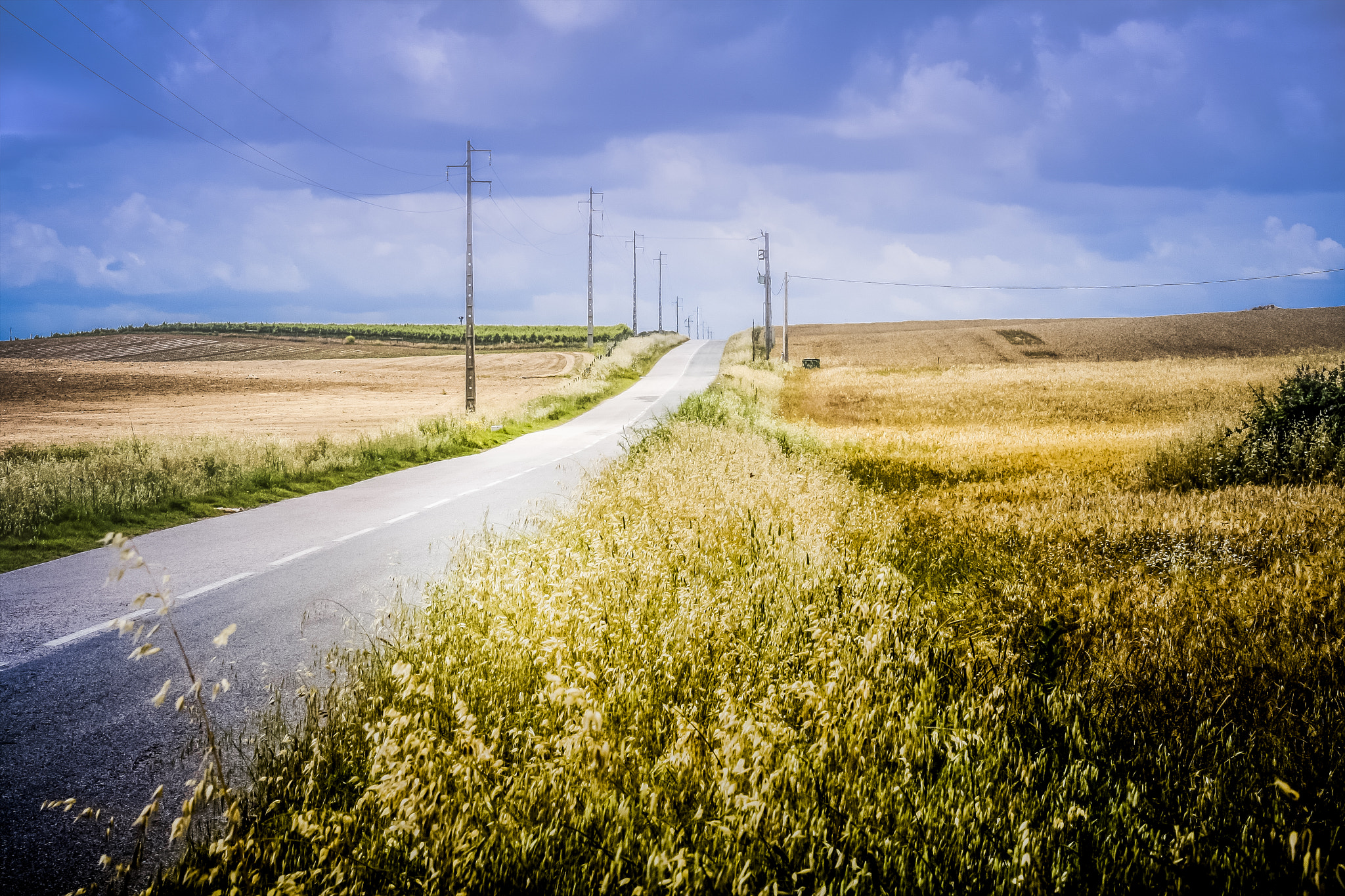 Canon EF 70-300mm F4-5.6 IS USM sample photo. The road ahead photography