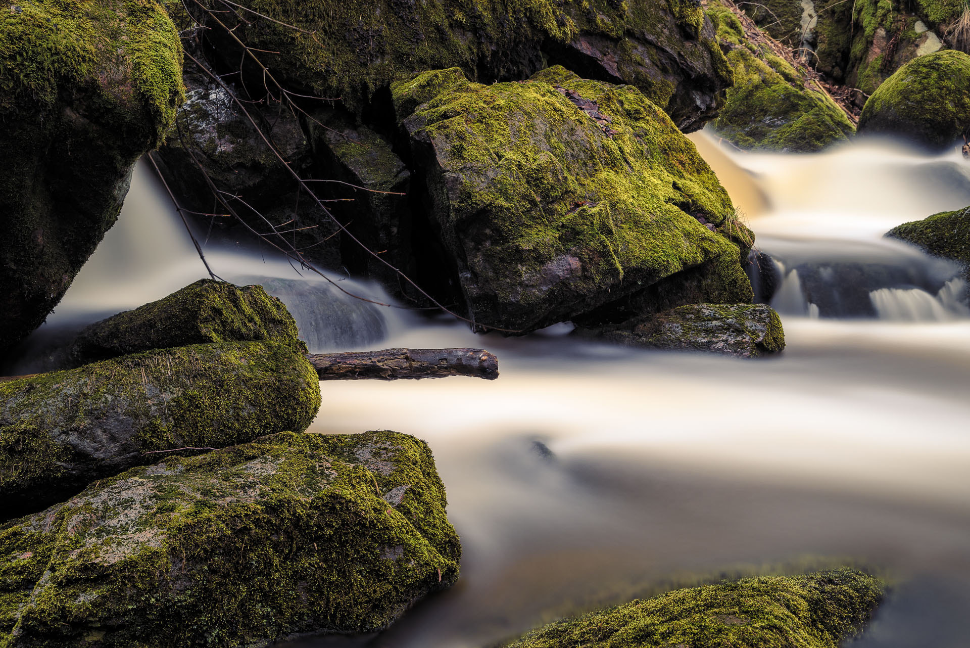 Nikon D750 + Sigma 24-105mm F4 DG OS HSM Art sample photo. Water and moss photography