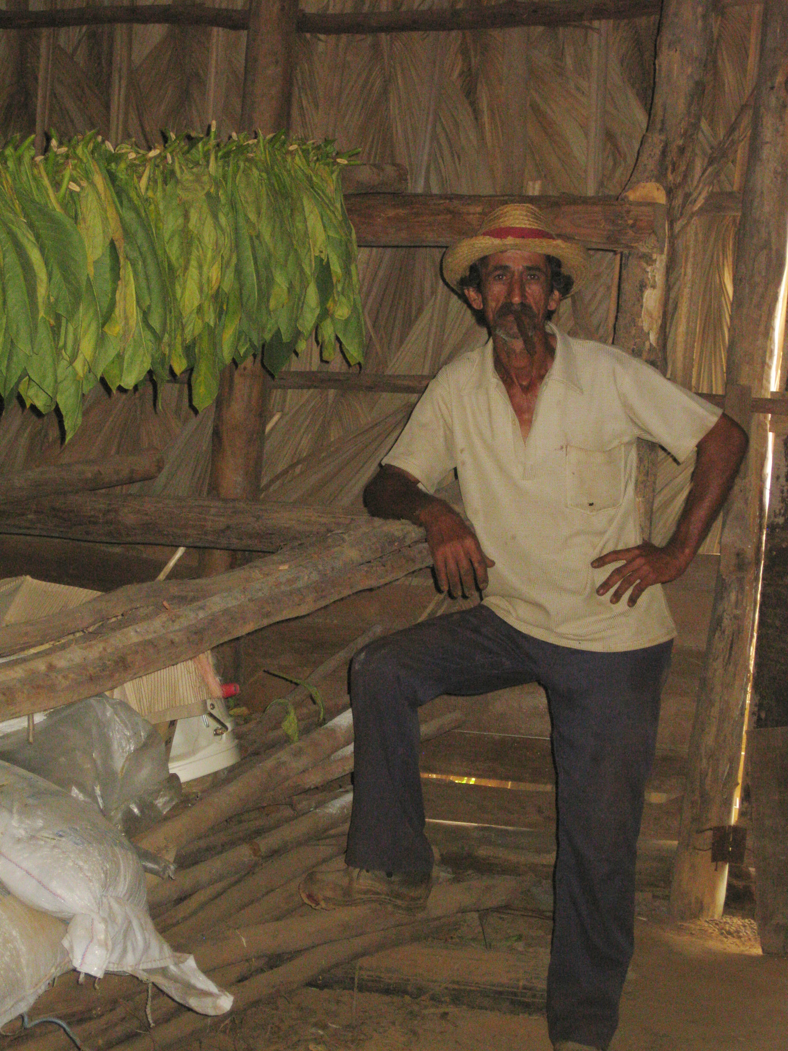 Canon PowerShot SD790 IS (Digital IXUS 90 IS / IXY Digital 95 IS) sample photo. Cuban tobacco farmer photography