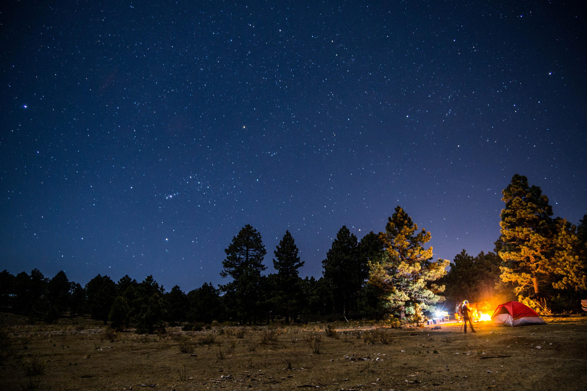 Sony SLT-A77 + Sony DT 16-50mm F2.8 SSM sample photo. Perfect night photography