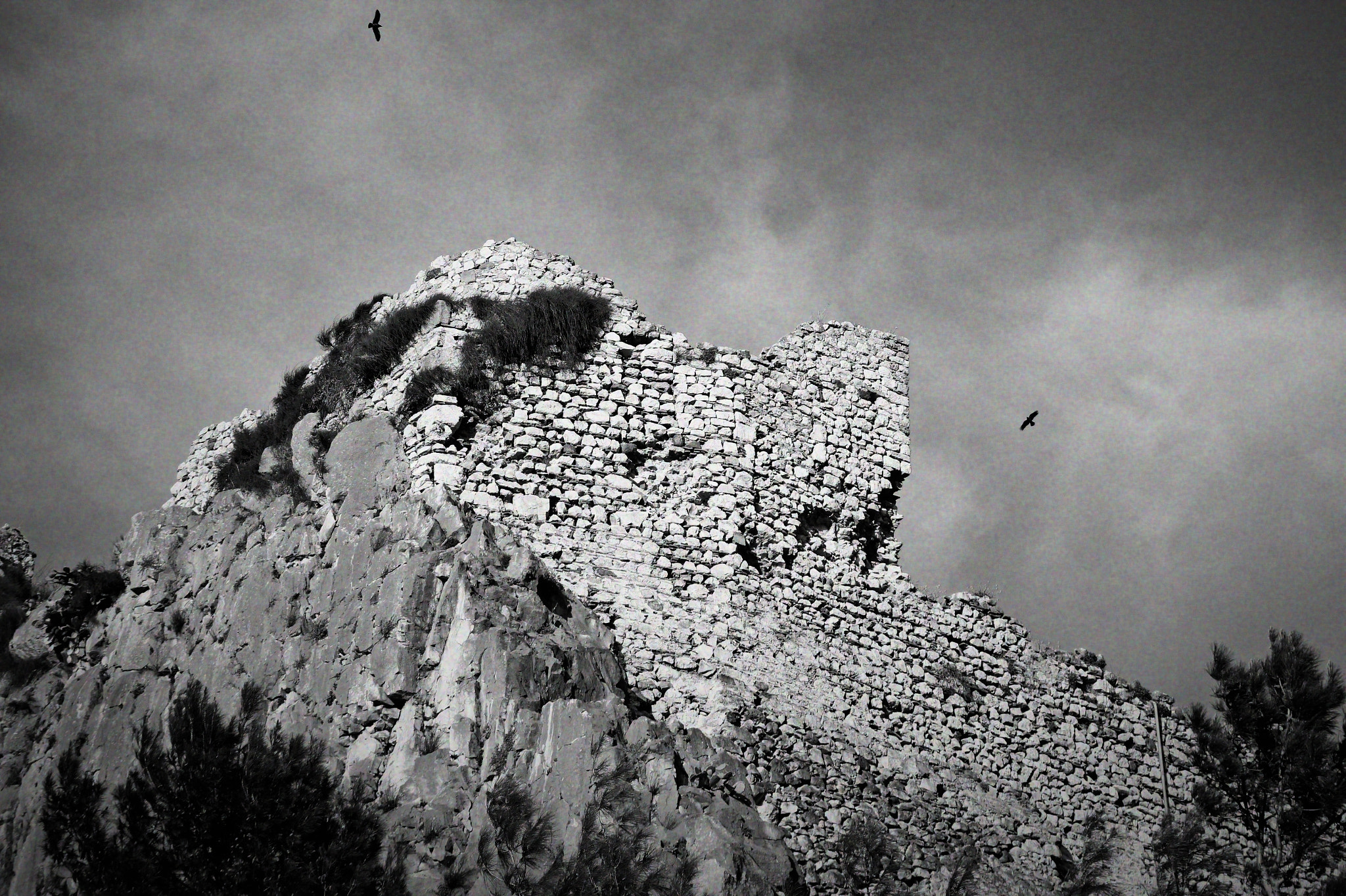 Canon EF 24-105mm F3.5-5.6 IS STM sample photo. Crows flying circles above the abandoned casstle photography