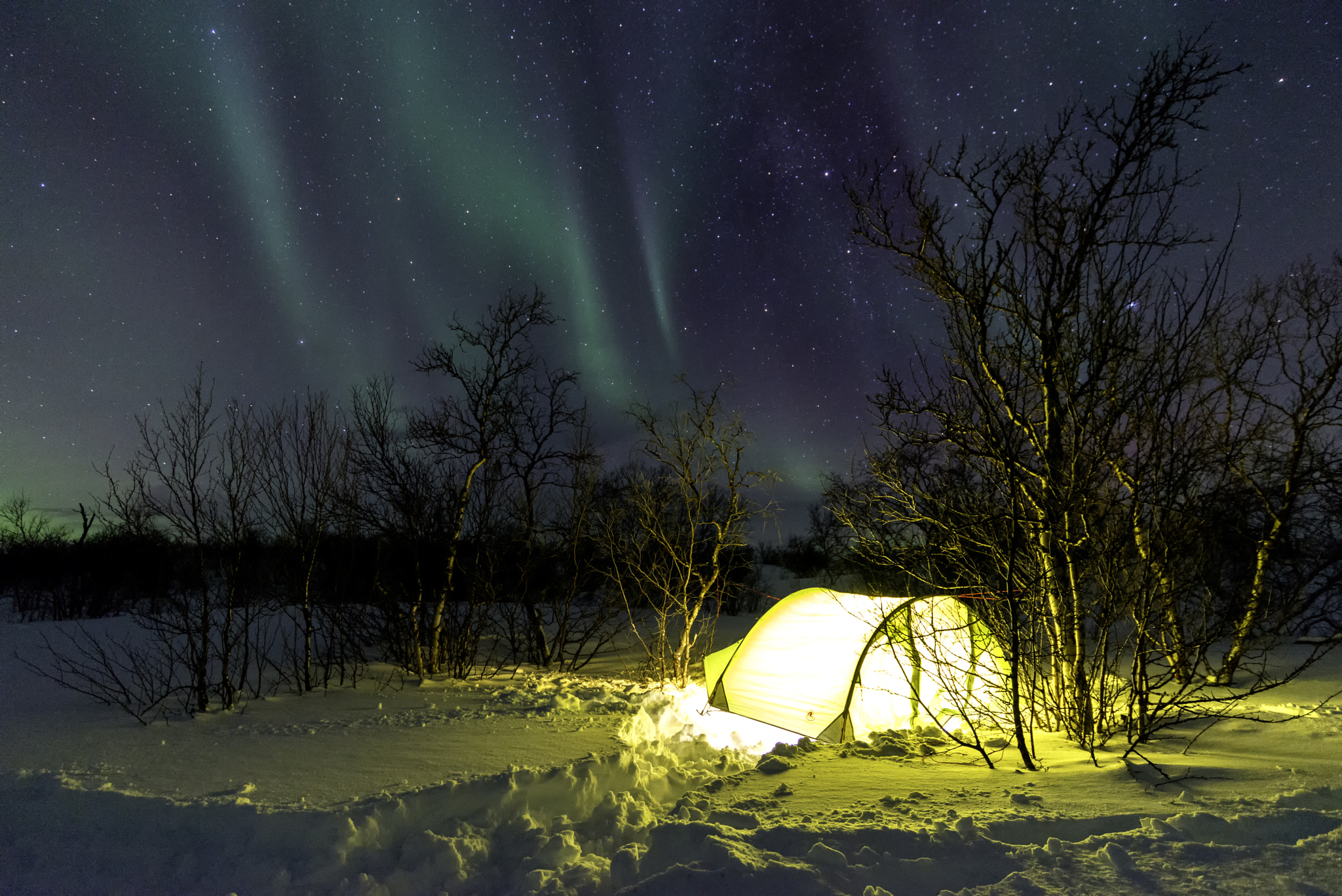 Nikon D800 sample photo. Cold photography