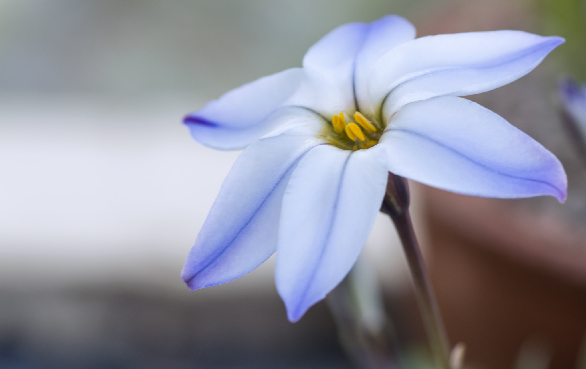 Nikon D3200 sample photo. Blue mood photography