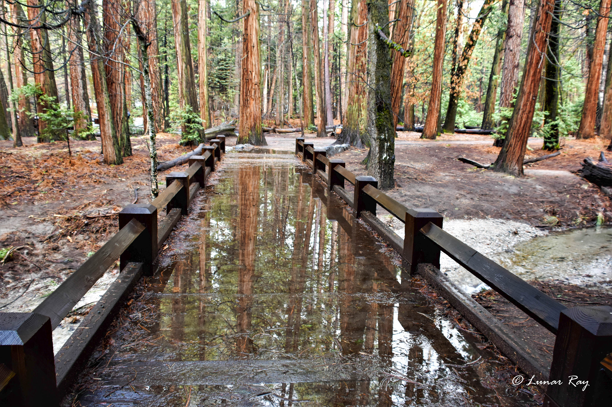 Nikon D5500 sample photo. Bridge to terabithia, lower yosemite falls photography