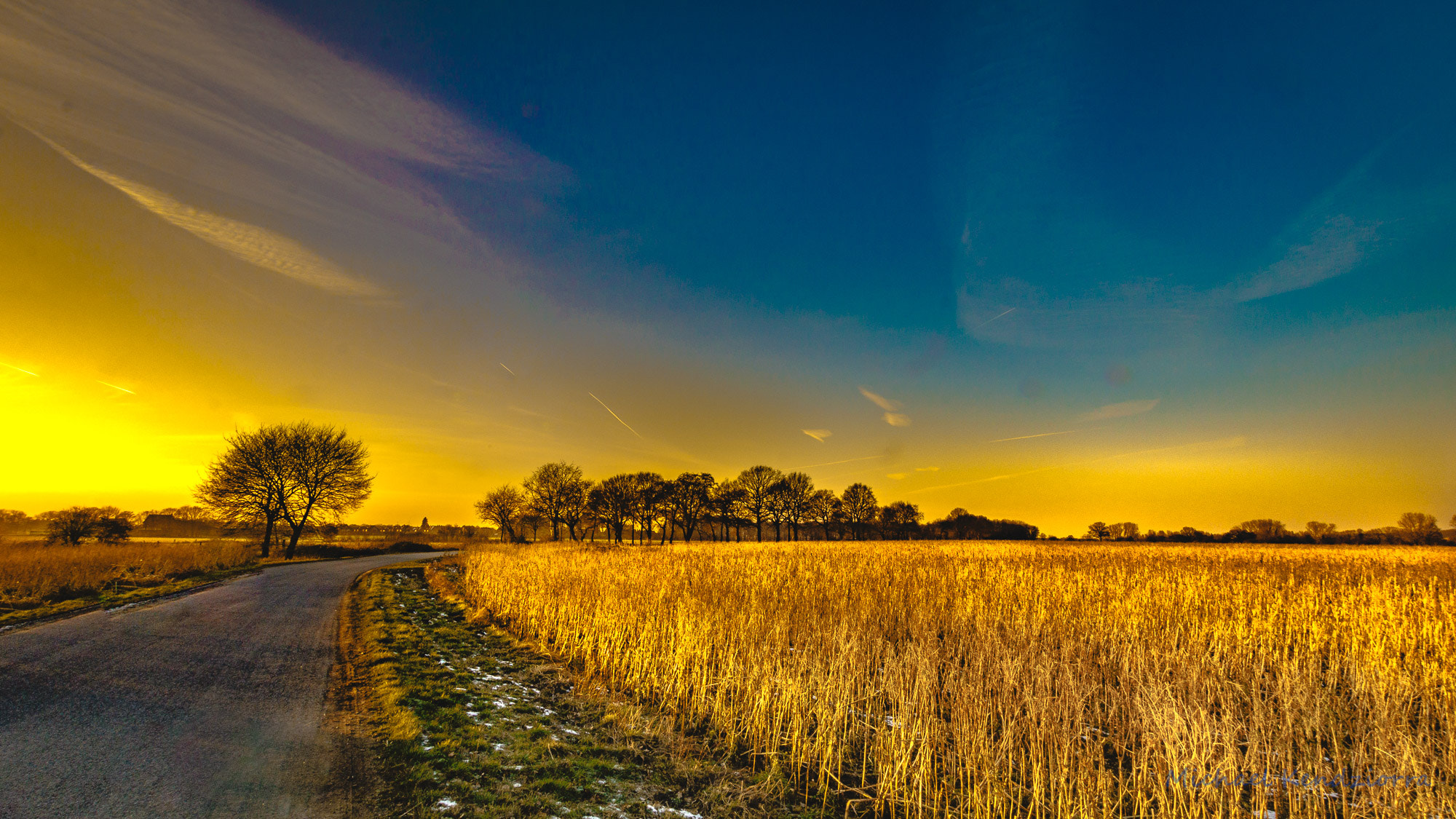 Canon EOS 750D (EOS Rebel T6i / EOS Kiss X8i) + Sigma 10-20mm F3.5 EX DC HSM sample photo. Feld  photography