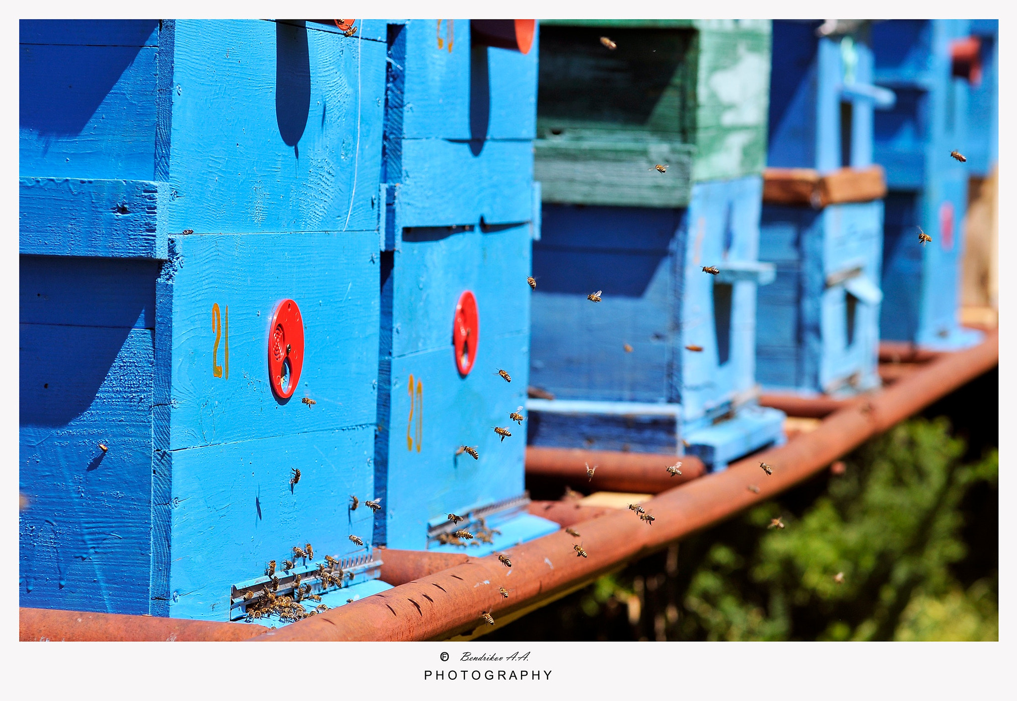 Nikon D200 sample photo