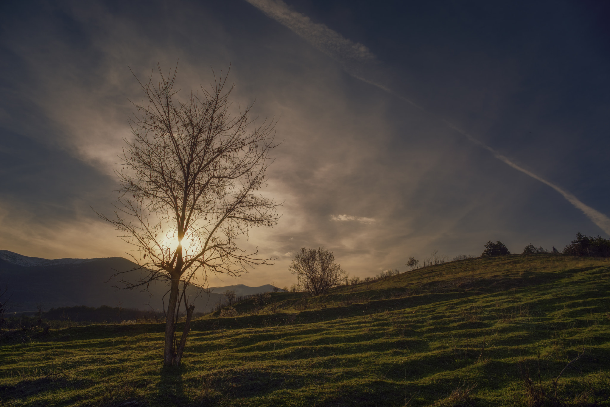 A Series Lens sample photo. End of the day photography