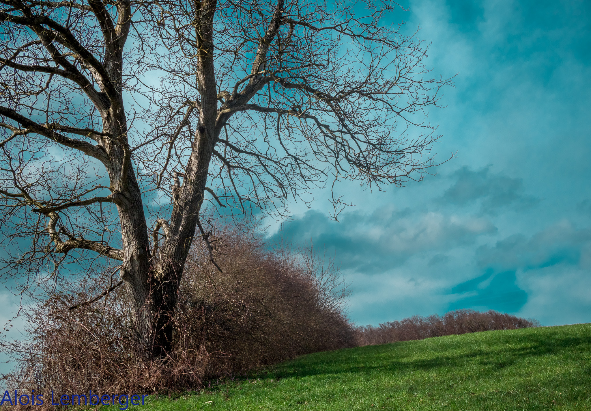 Canon EF-M 22mm F2 STM sample photo. Blue sky photography