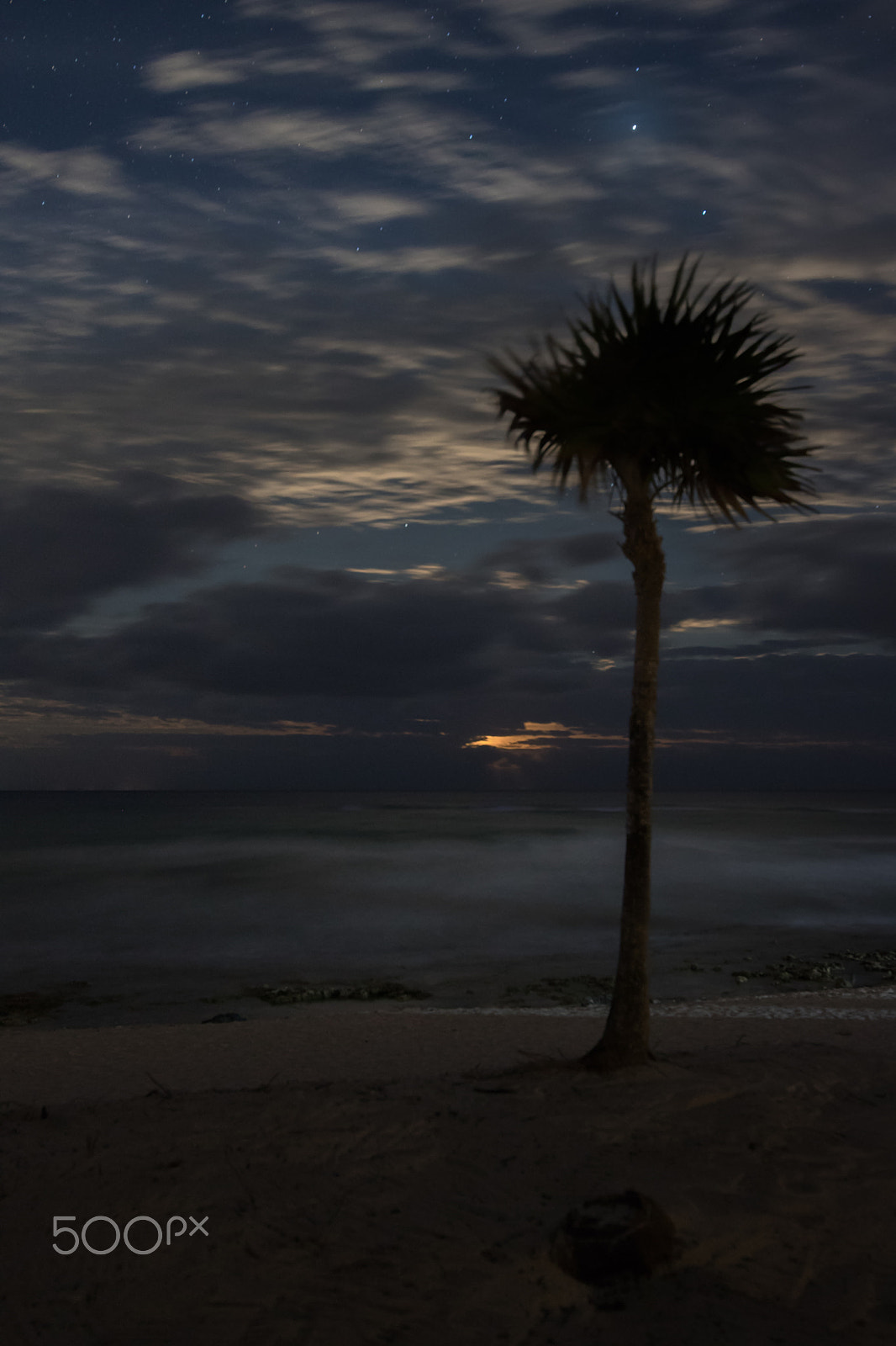 Canon EOS 760D (EOS Rebel T6s / EOS 8000D) sample photo. Alone in the night photography