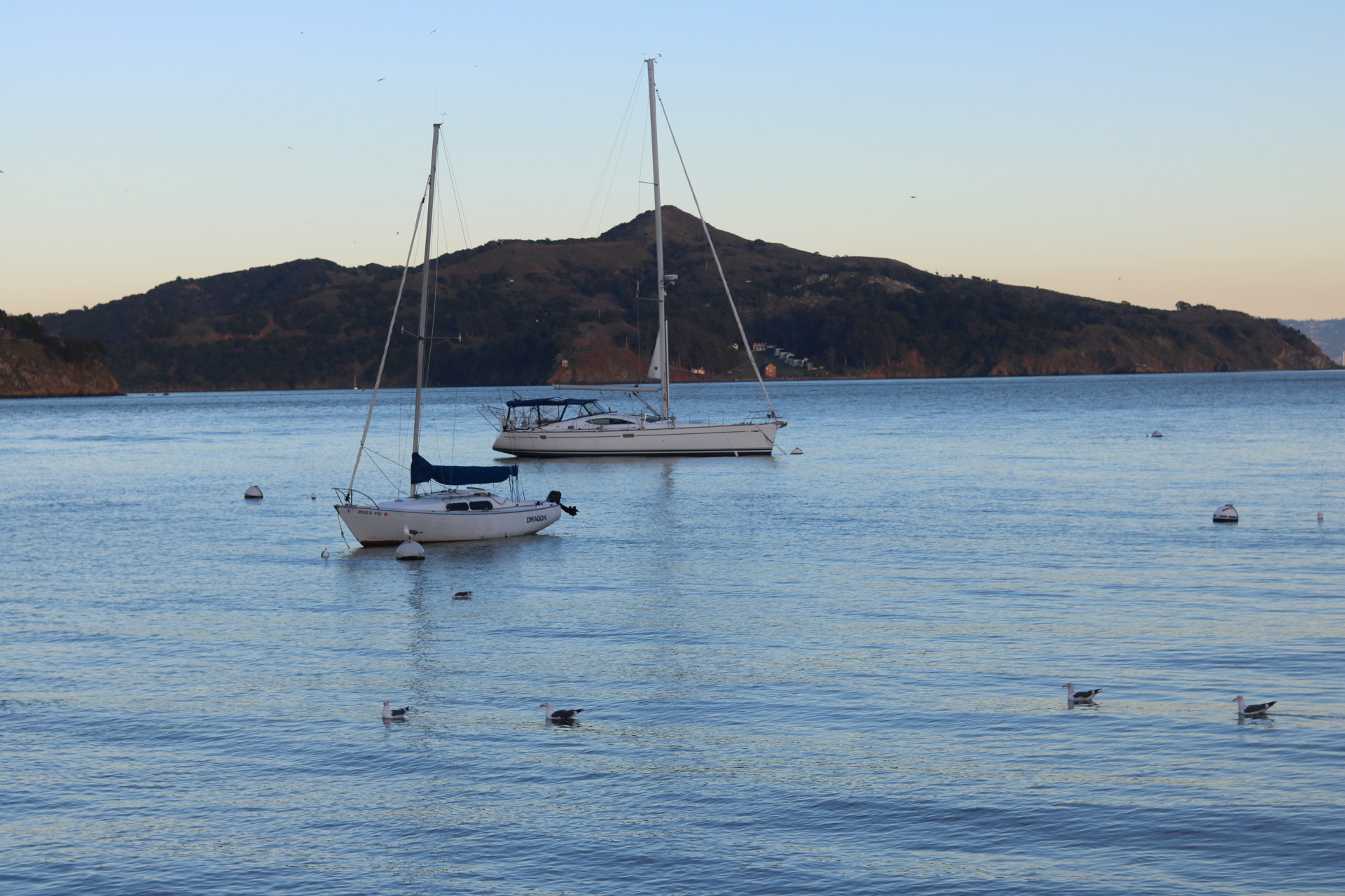 Canon EOS 750D (EOS Rebel T6i / EOS Kiss X8i) sample photo. Sausalito photography