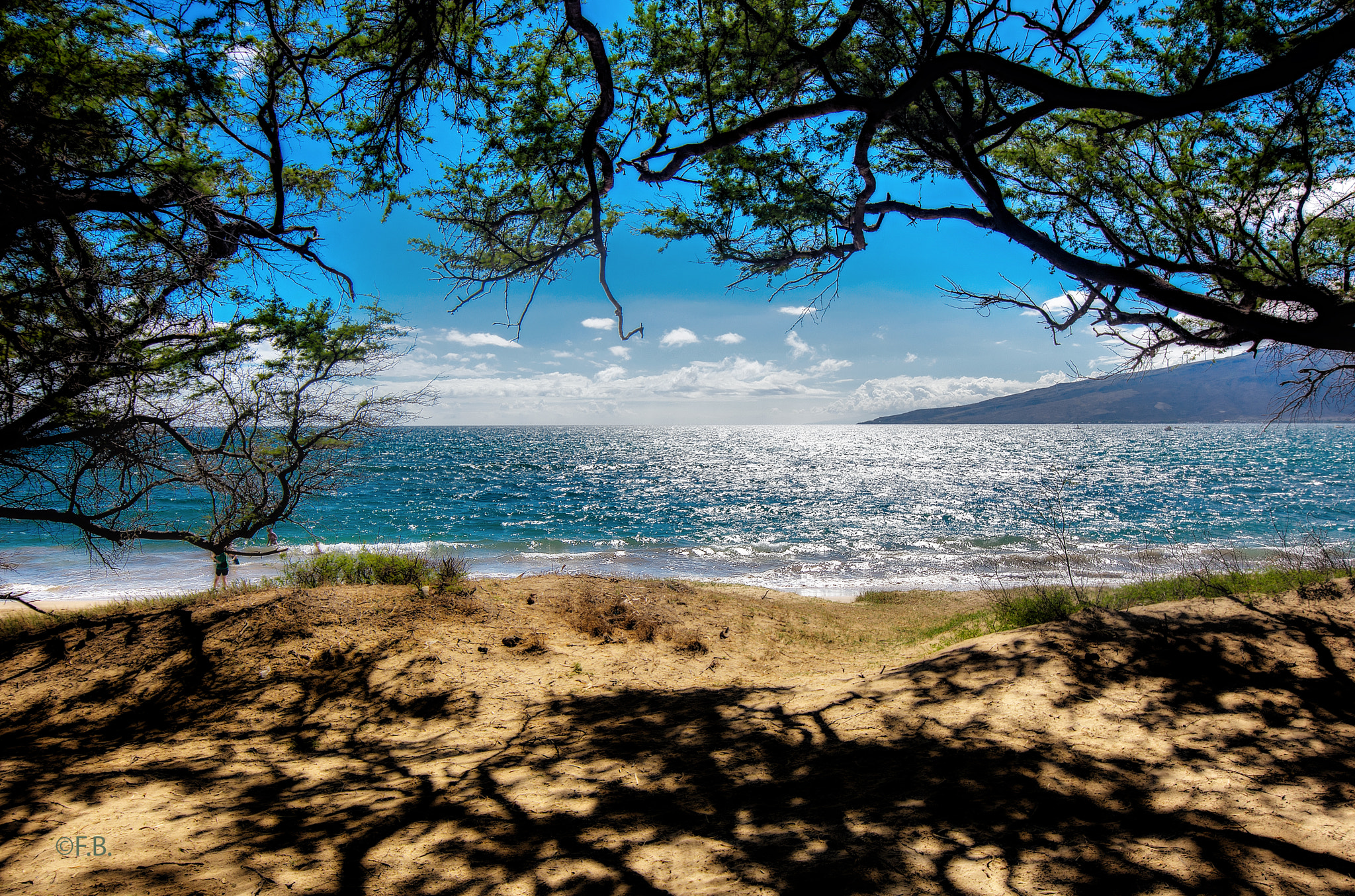 Nikon D7100 sample photo. Mauii beach photography