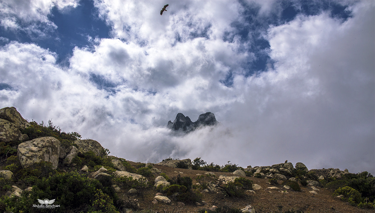 Samyang 12mm F2.8 ED AS NCS Fisheye sample photo. Socotra photography