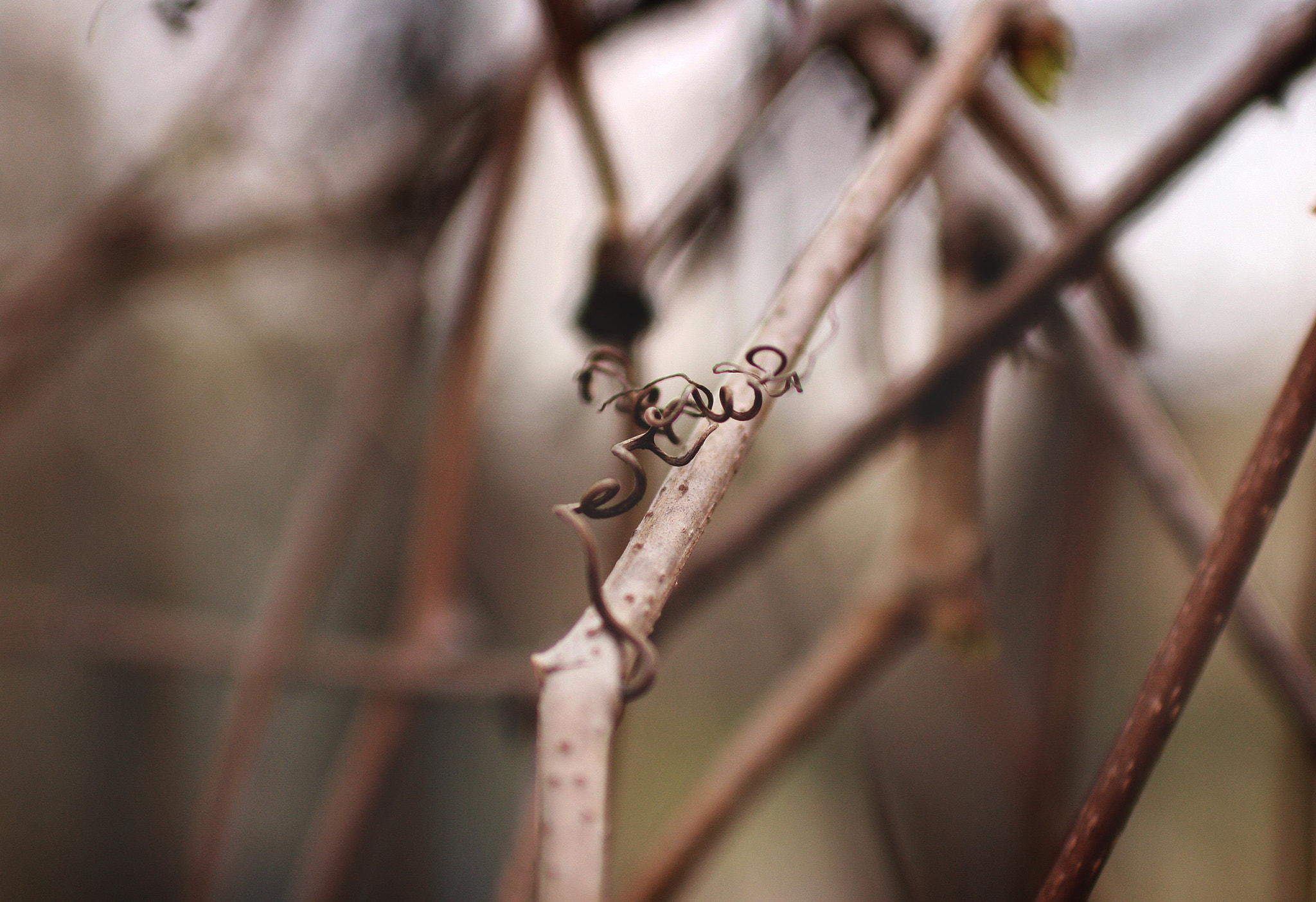 Sigma 30mm F1.4 EX DC HSM sample photo. Silence photography