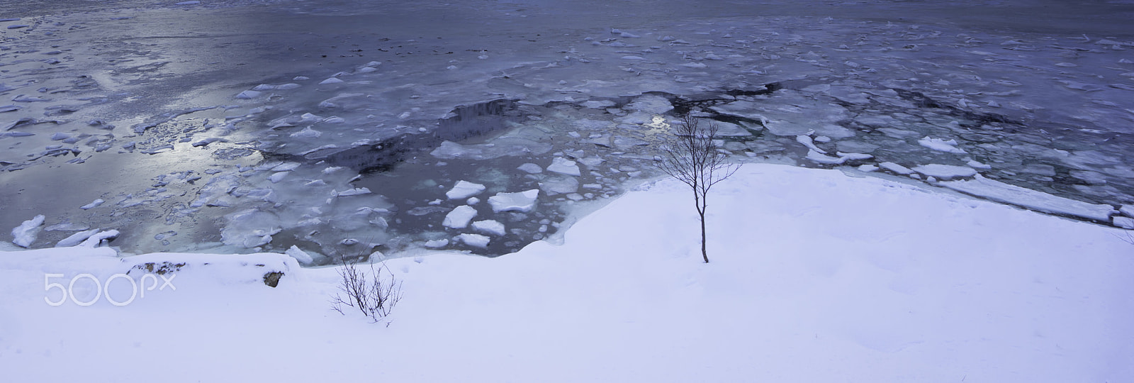 Sony a7R + Sony Vario-Tessar T* FE 16-35mm F4 ZA OSS sample photo. Nature as an artist photography