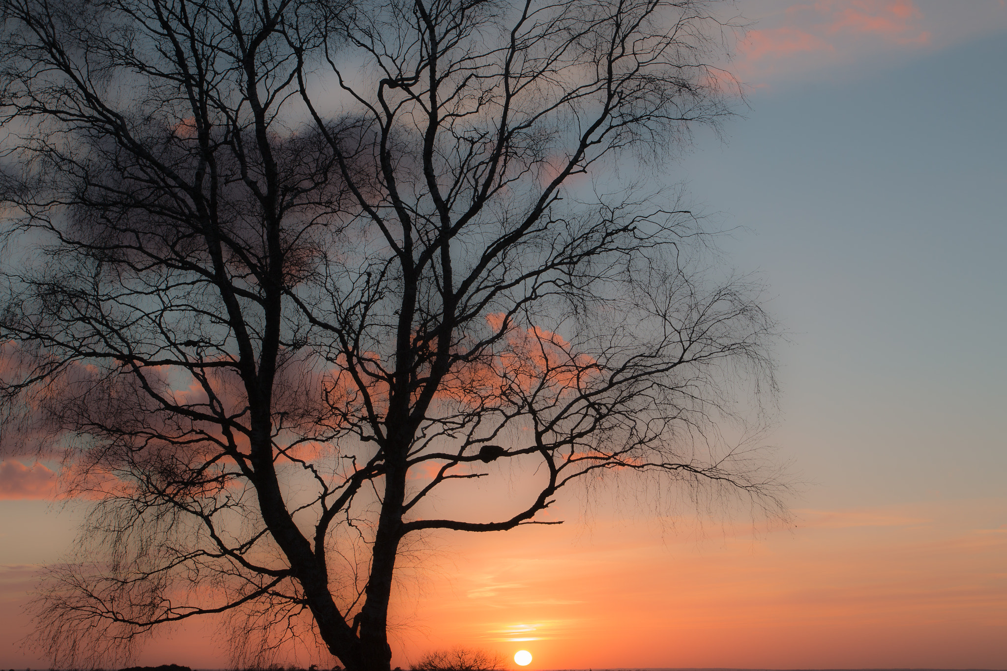 Canon EF 17-40mm F4L USM sample photo. Holterberg. photography