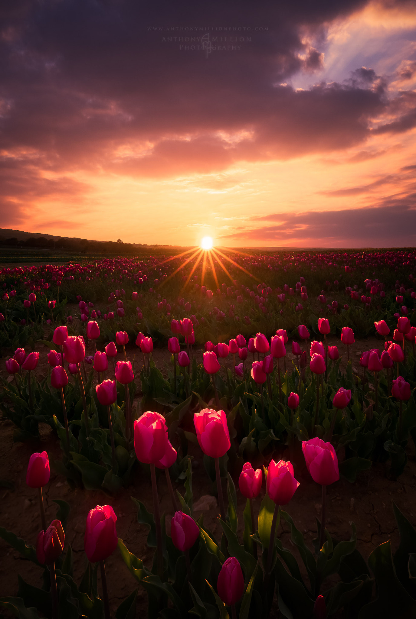 Canon EF 16-35mm F4L IS USM sample photo. Prelude of spring photography