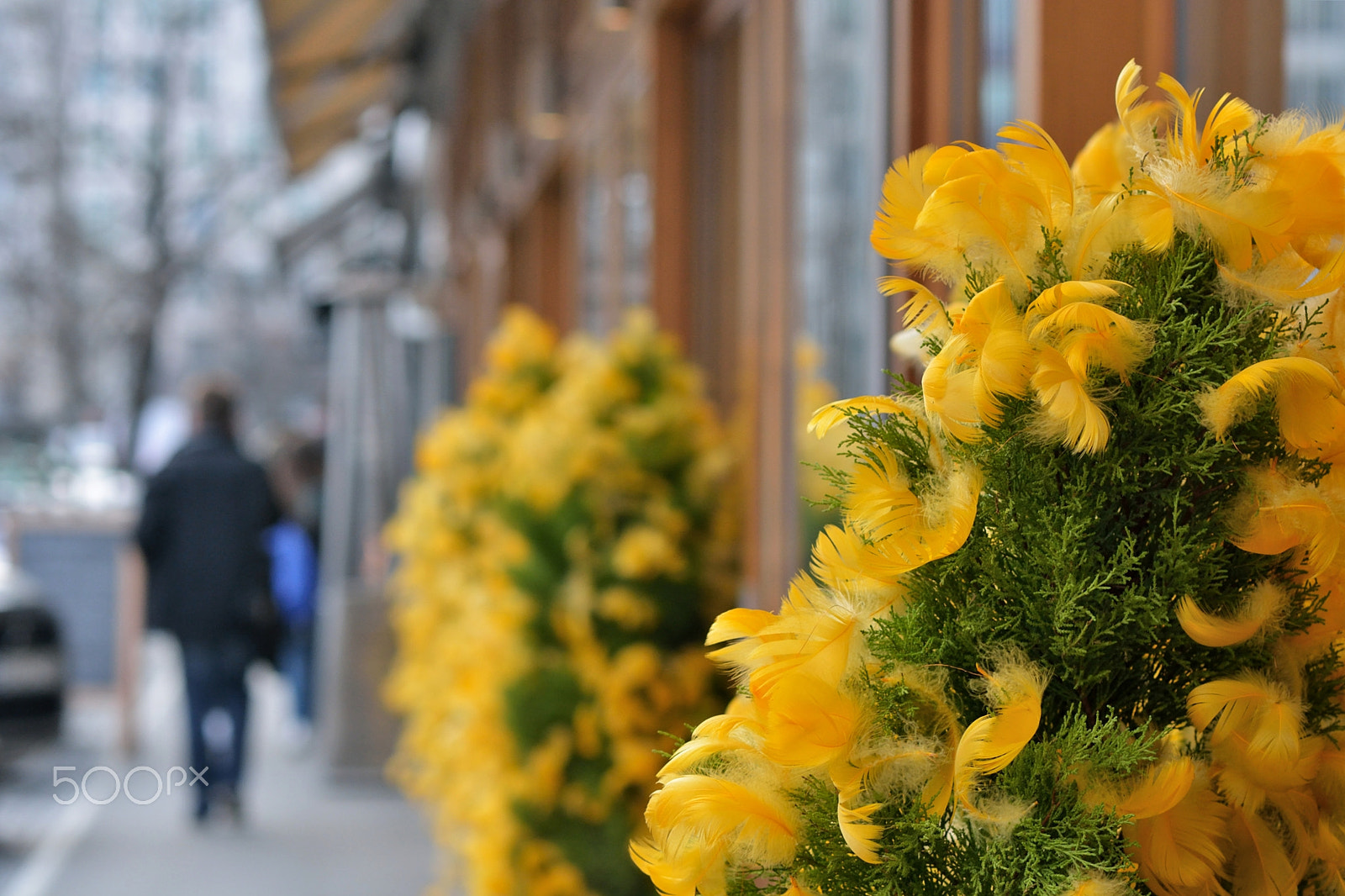 Nikon D7100 + Nikon AF-S Nikkor 85mm F1.8G sample photo. First signs of easter photography