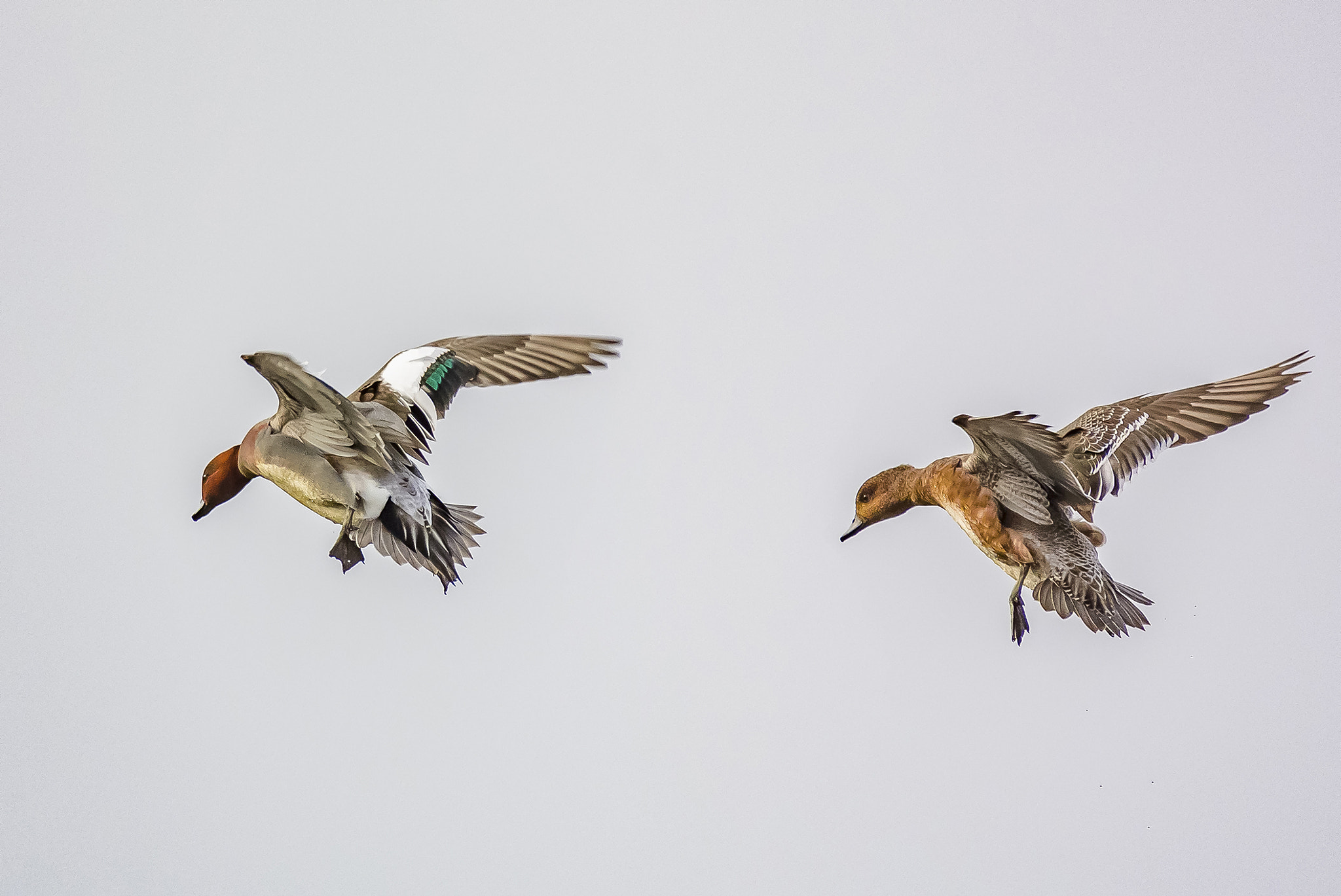 Nikon D7100 sample photo. Landing teal photography