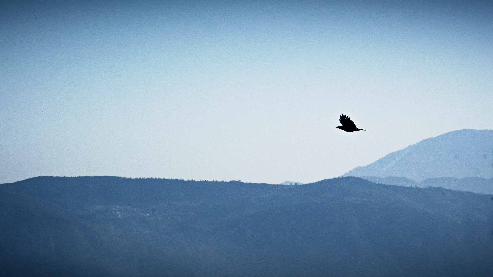 Canon EF 24-105mm F3.5-5.6 IS STM sample photo. A crow above the mountain ridge photography