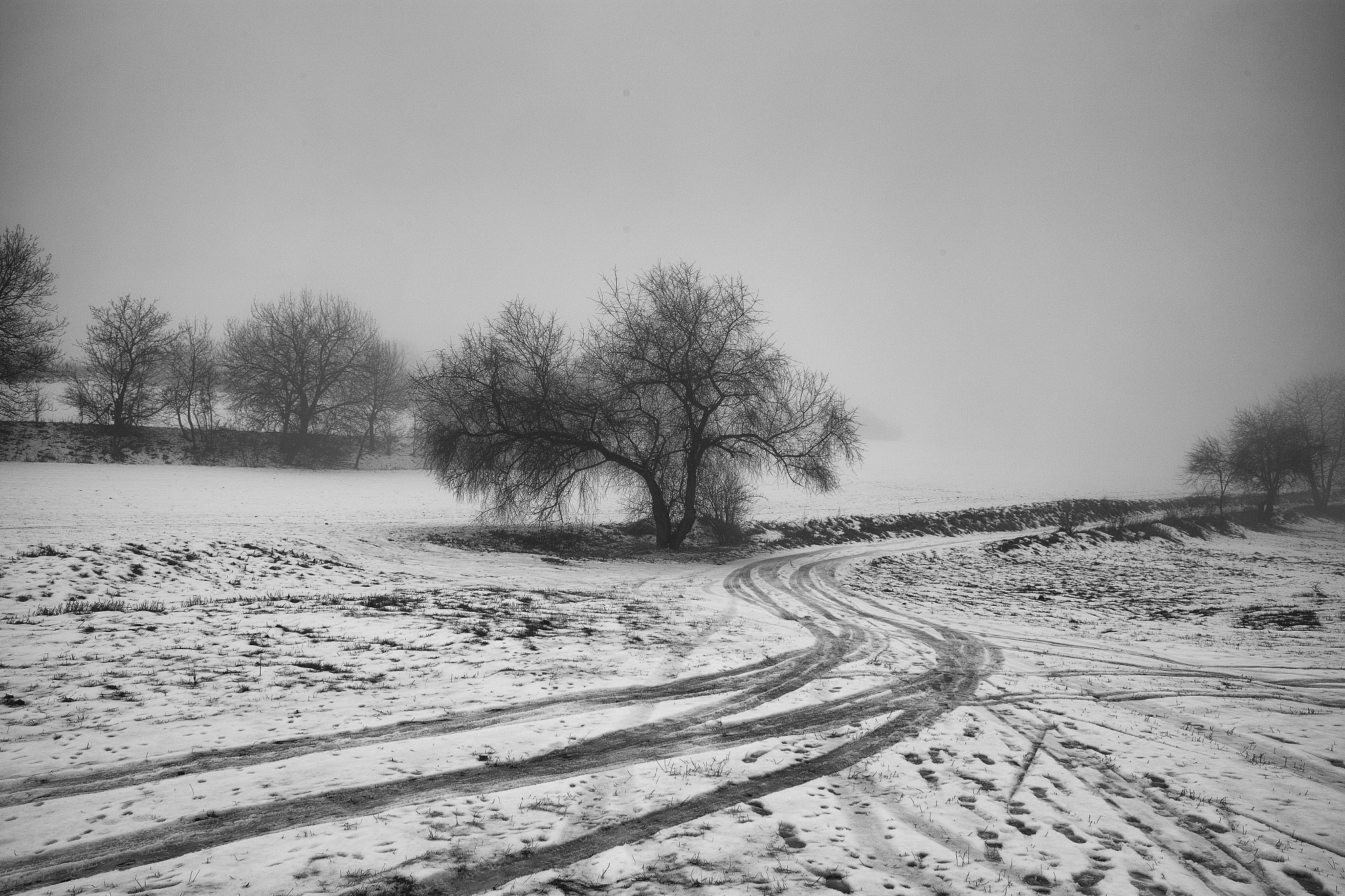 Canon EOS 6D + Canon EF 28mm F1.8 USM sample photo. Winter field photography