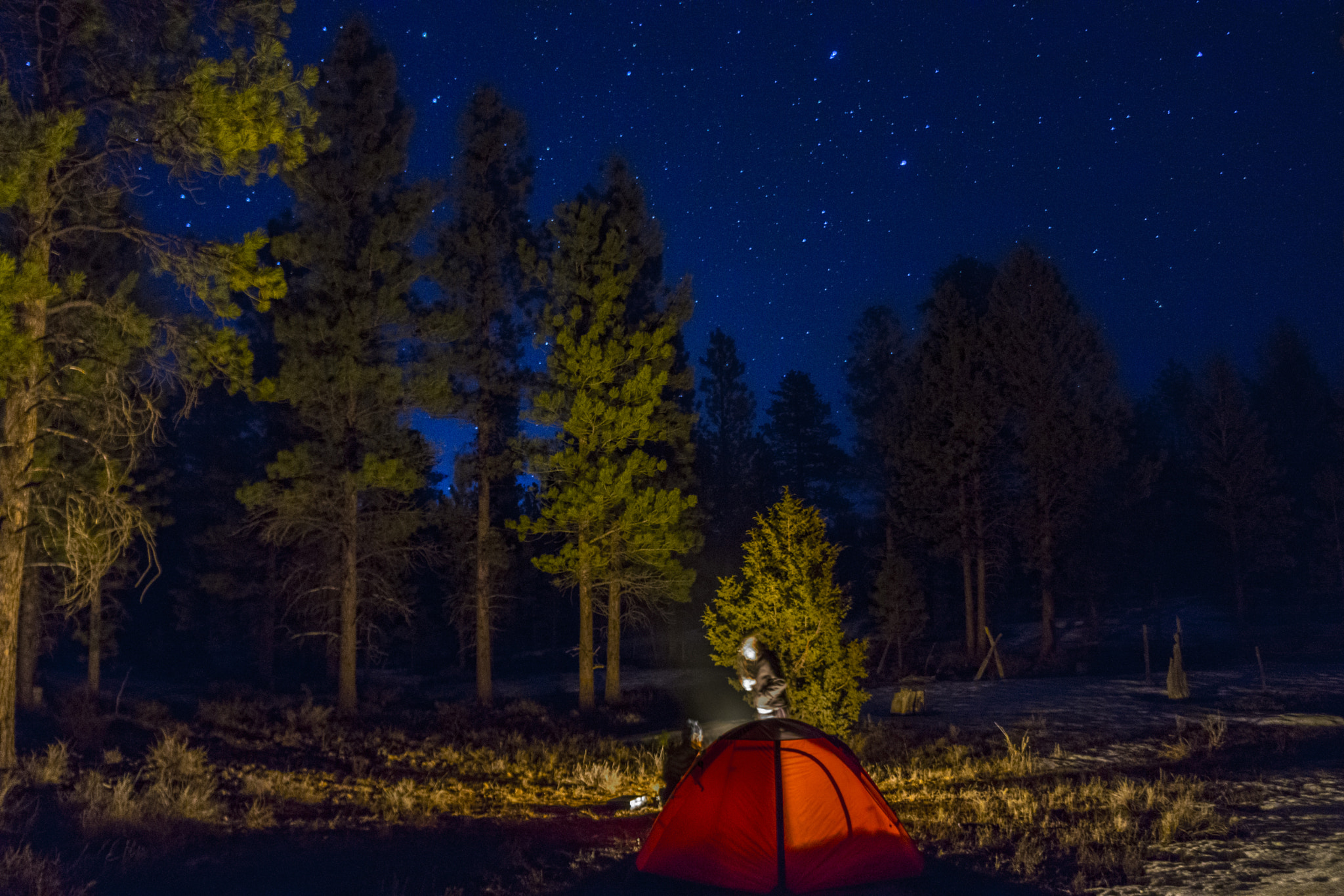Sony Alpha NEX-7 + Sony E 18-55mm F3.5-5.6 OSS sample photo. Night sky outside of bryce canyon national park photography