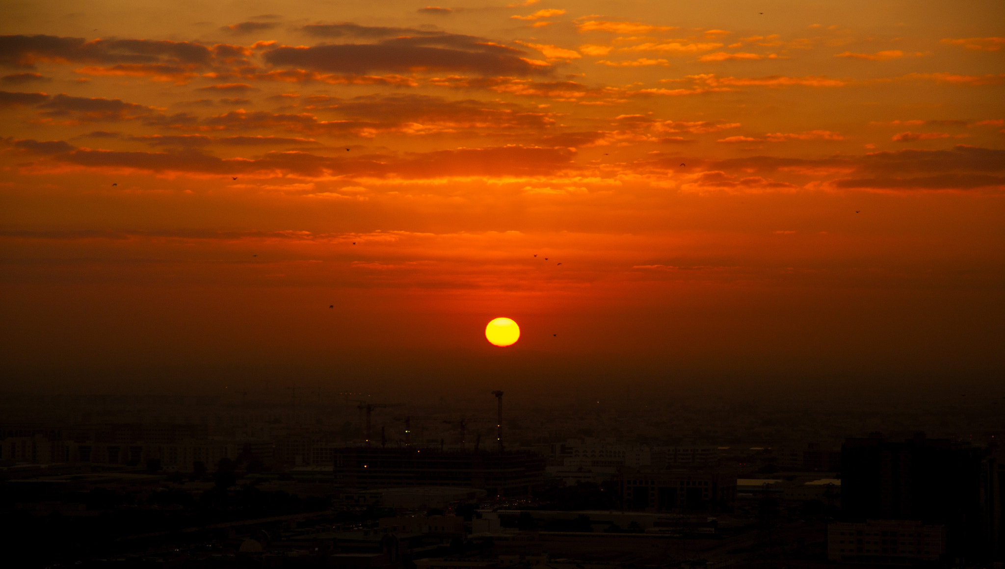 Nikon D90 sample photo. Arabian sunrise photography