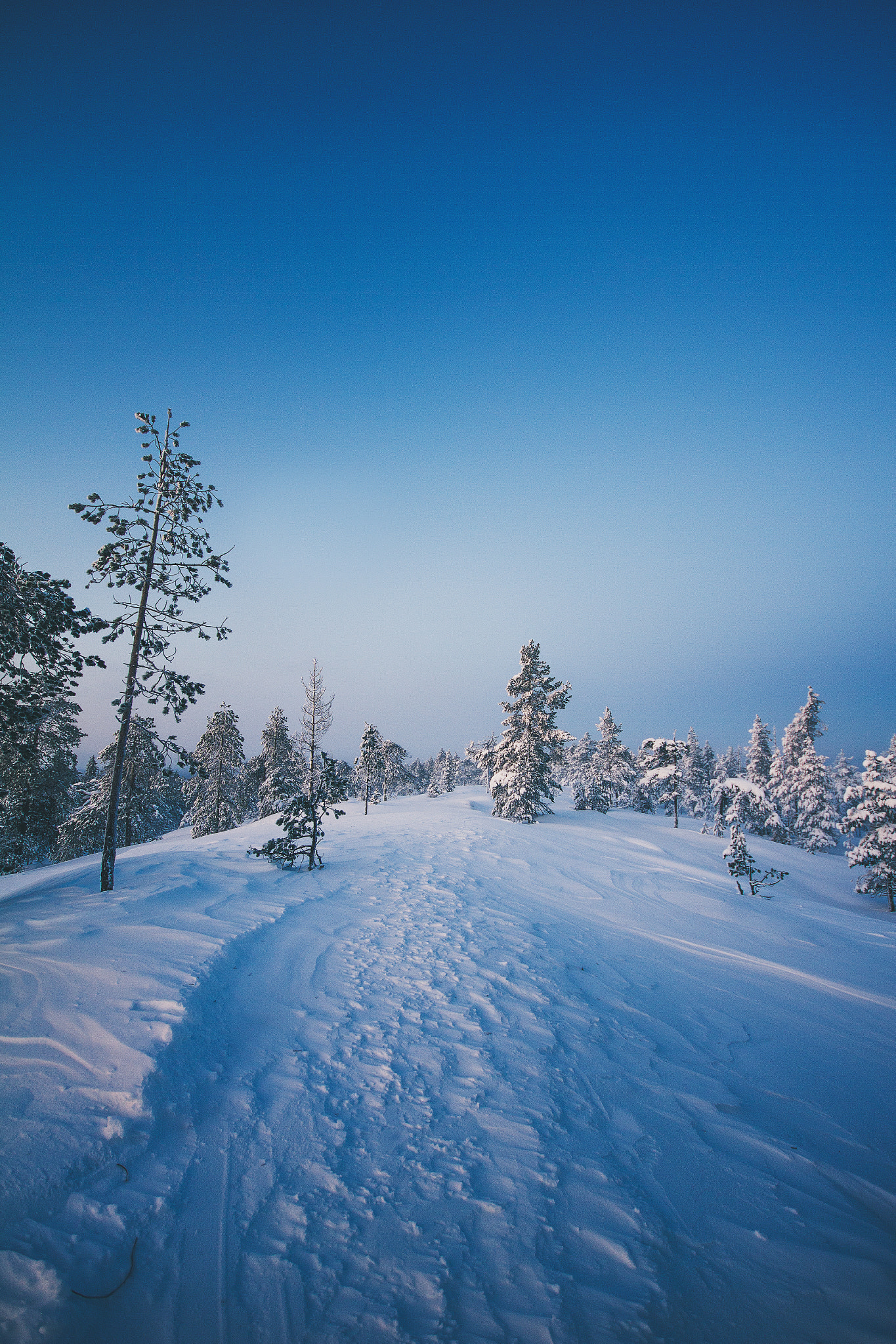 Sigma 10-20mm F4-5.6 EX DC HSM sample photo. Northern silence photography