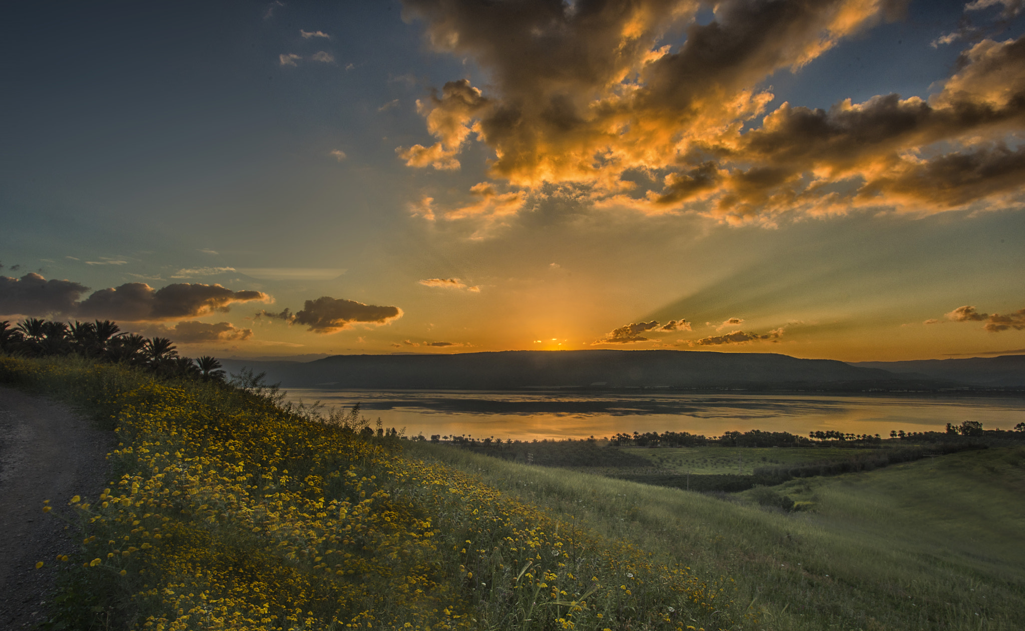 Nikon D810 + Nikon AF-S Nikkor 17-35mm F2.8D ED-IF sample photo. Sunrise, galilee sea photography