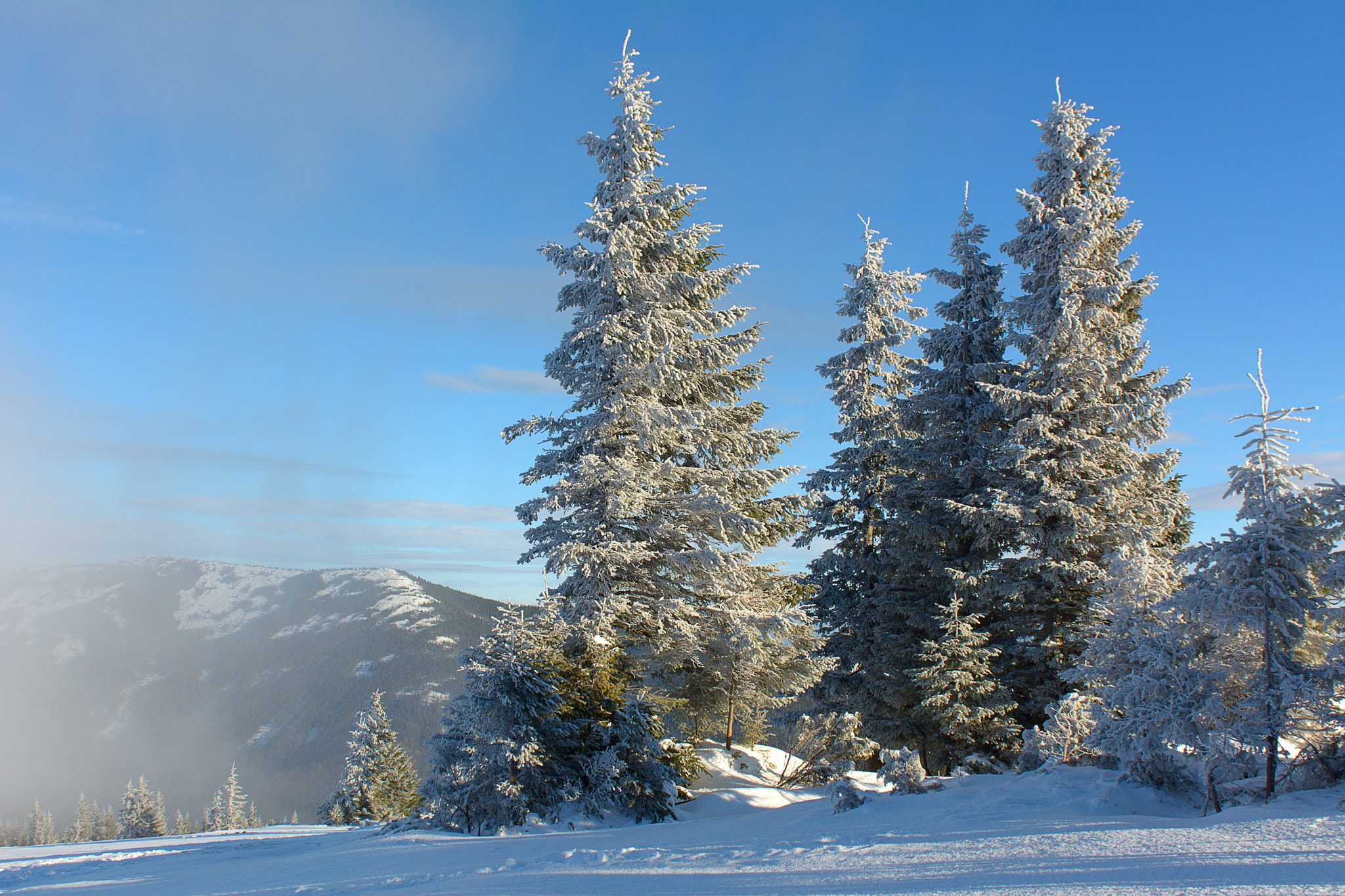 Nikon AF-S Nikkor 24-70mm F2.8G ED sample photo. Mountain beauties photography