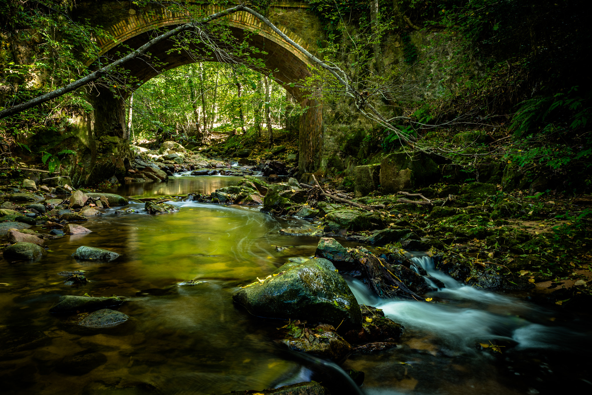 AF Nikkor 28mm f/2.8 sample photo. Osor photography