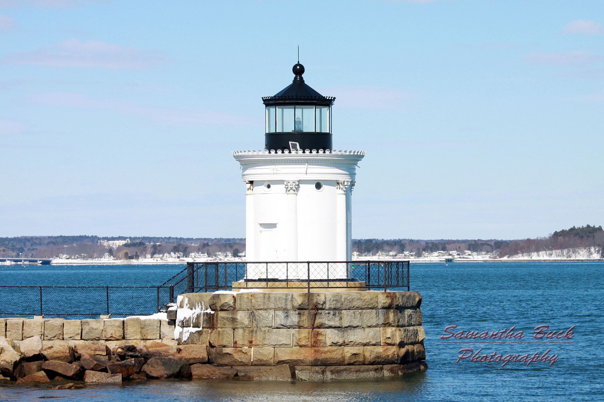 Canon EF-S 55-250mm F4-5.6 IS STM sample photo. Bug light photography