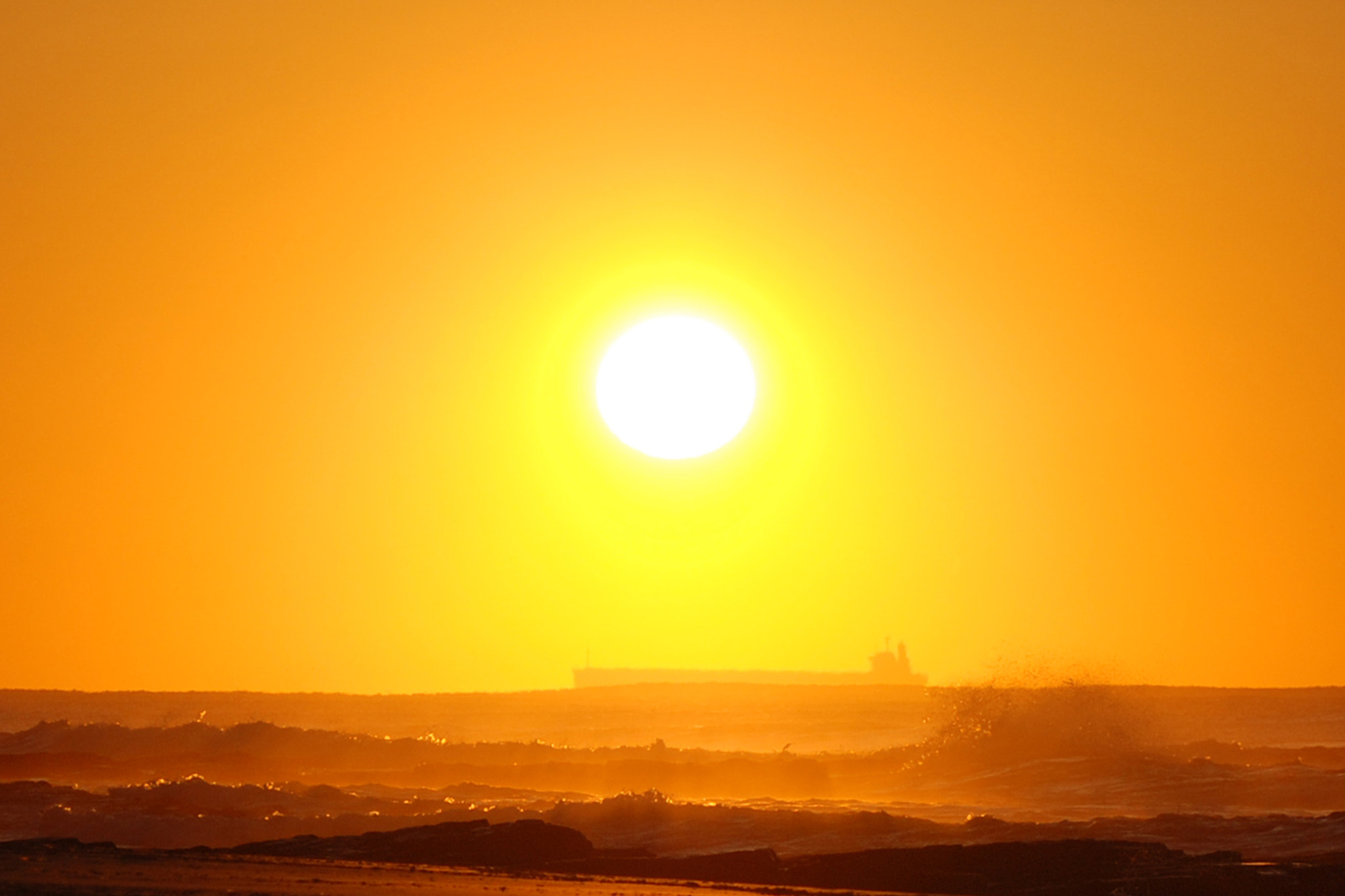 Nikon D80 sample photo. Orange tones photography