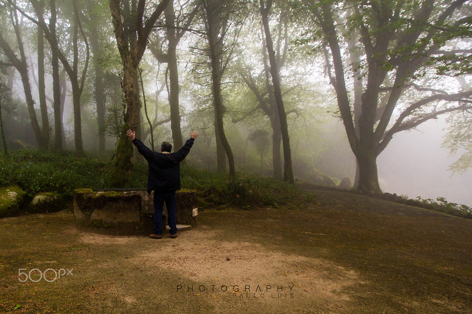 Canon EOS 60D sample photo. Tree world day photography