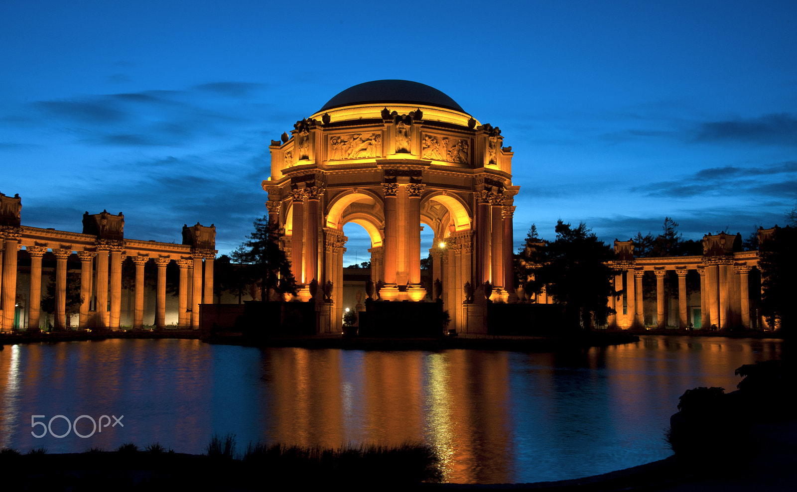 Nikon D3 sample photo. Park presidio photography