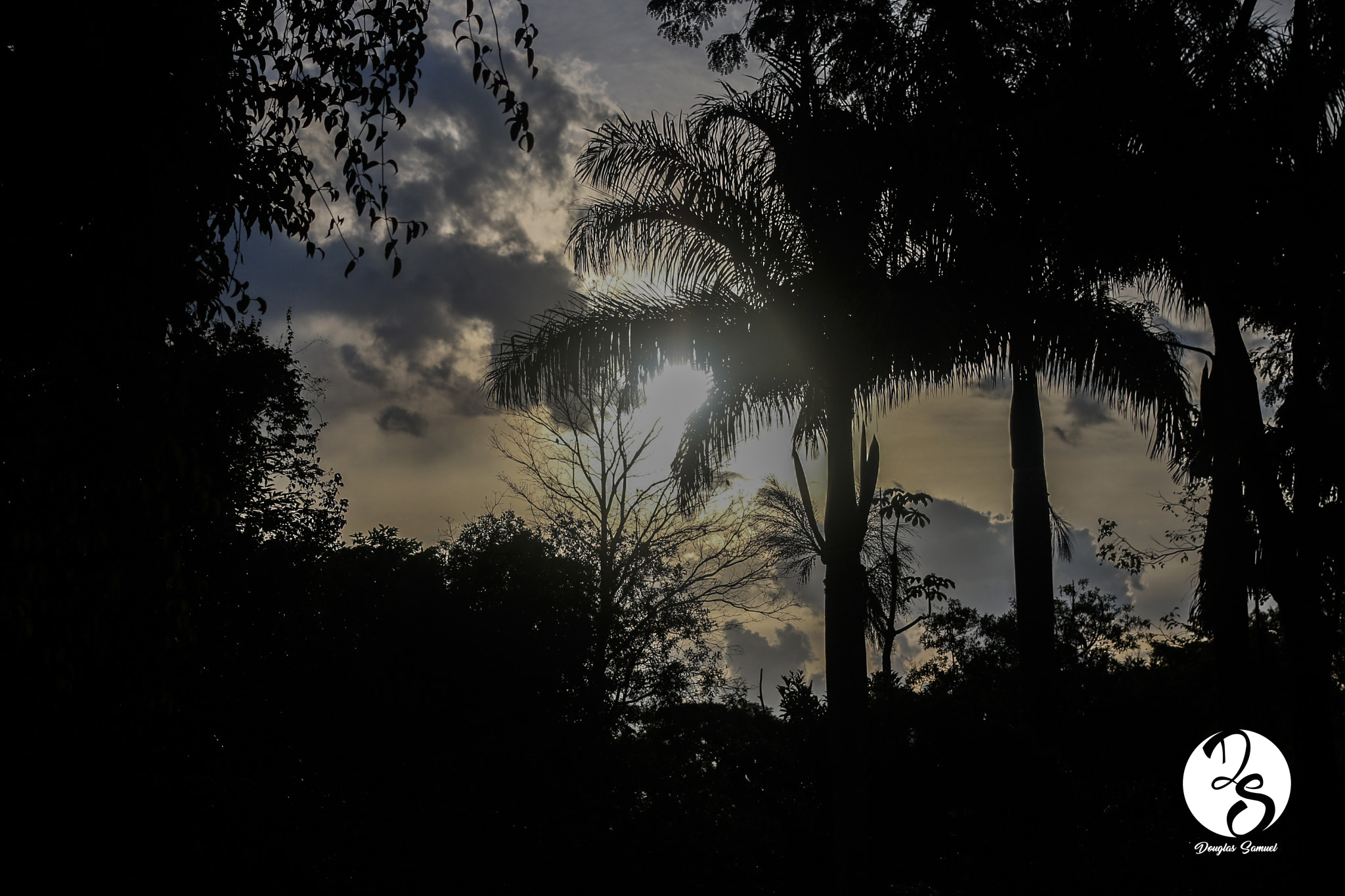 Canon EOS 70D + Canon EF 40mm F2.8 STM sample photo. Fim de tarde. photography