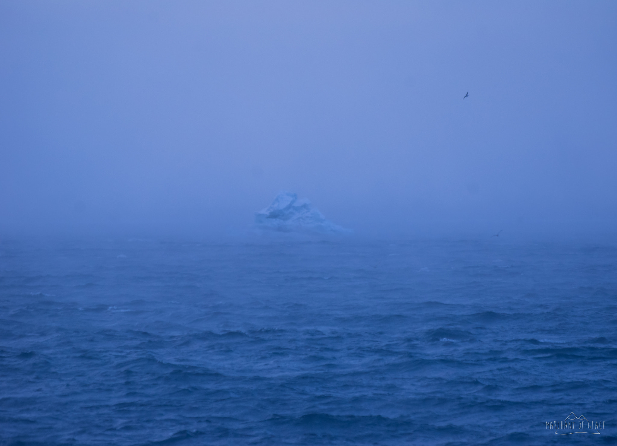 Pentax smc DA 50-200mm F4-5.6 ED WR sample photo. Icy ghost. photography